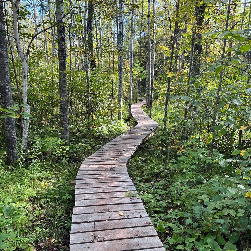 gooseberry_trail.jpg