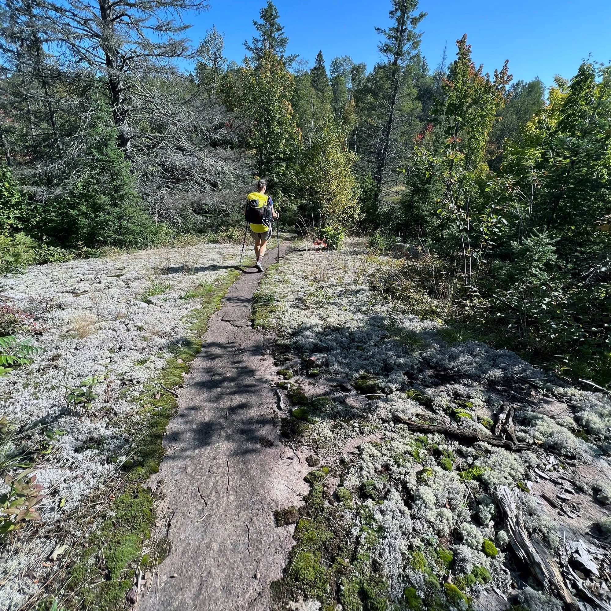 nancy_trail_cover.jpg