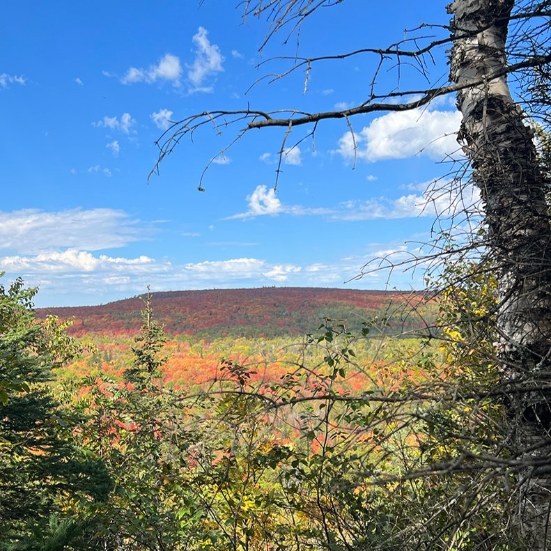 lutsen_area_view_1.jpg