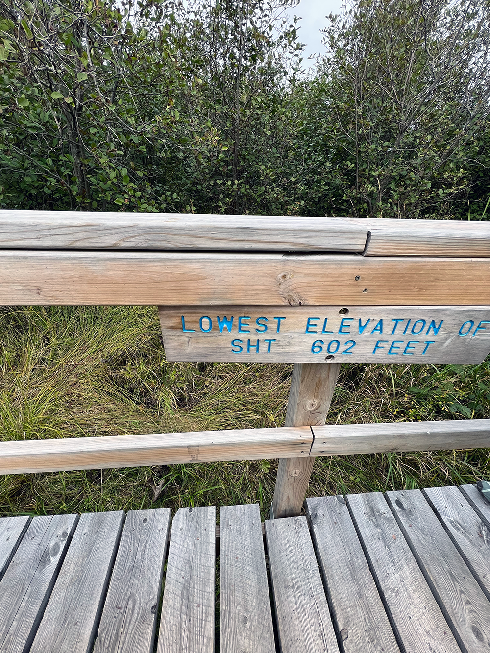 lowest_elevation.png