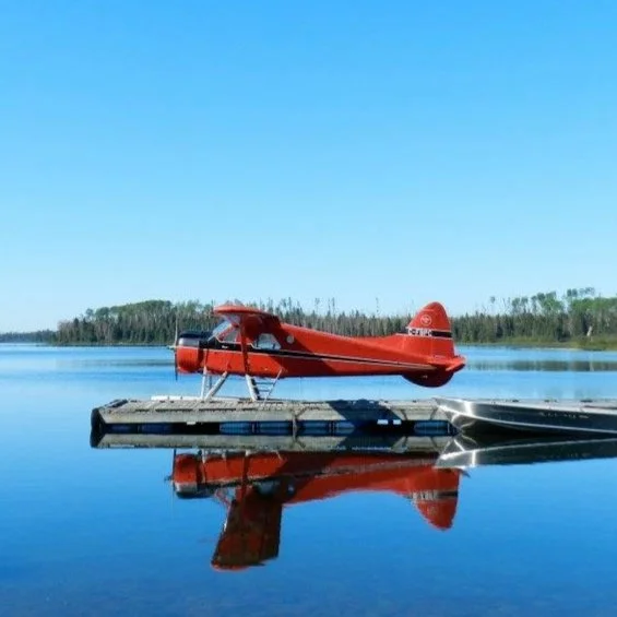 beaver.jpg