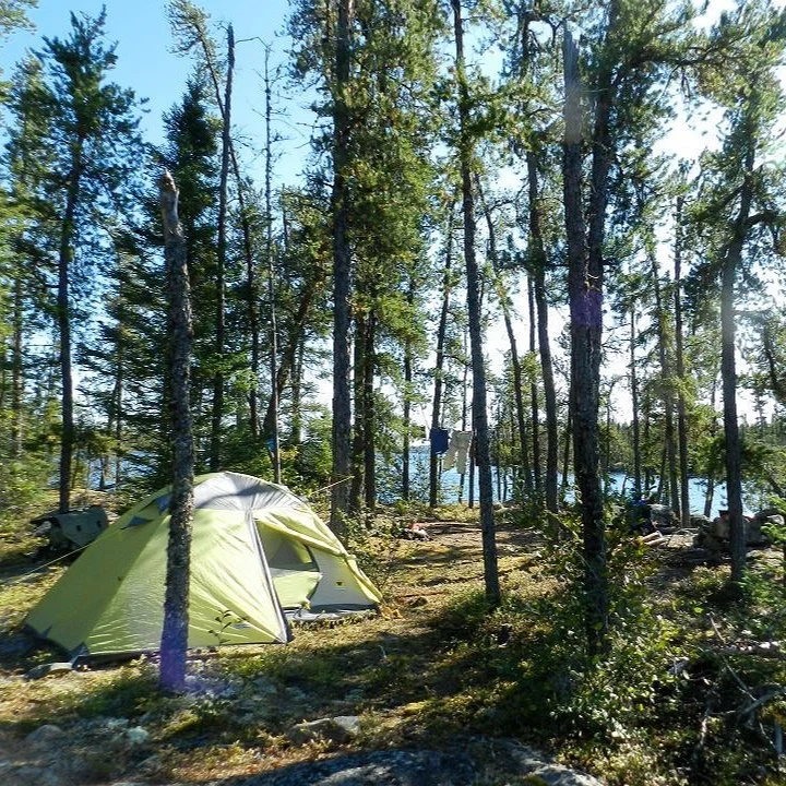 caribou_camp_1.jpg