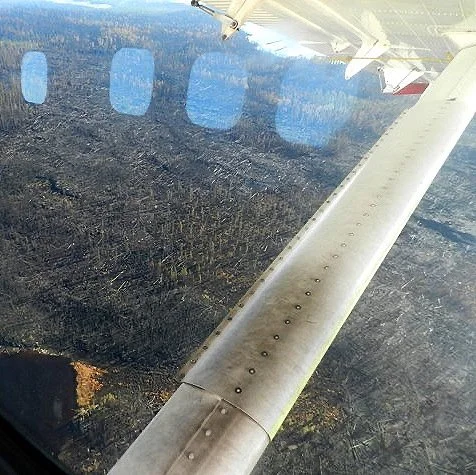flyover.jpg