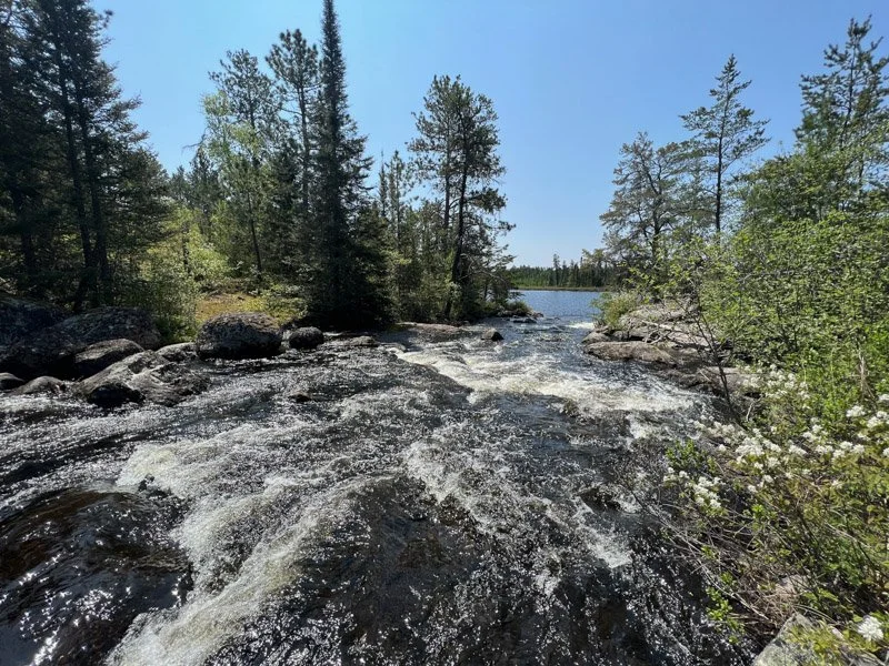 rapids 2.jpg