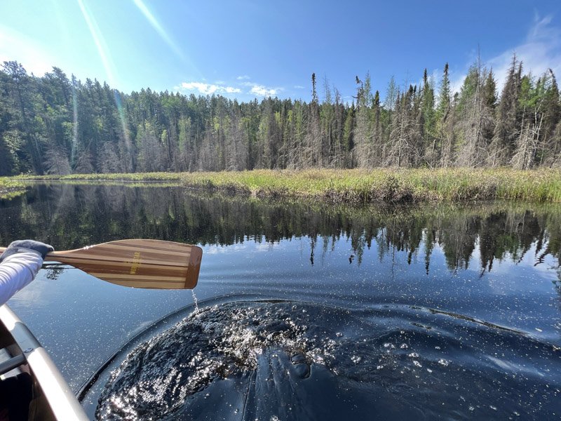 canoe paddle.jpg