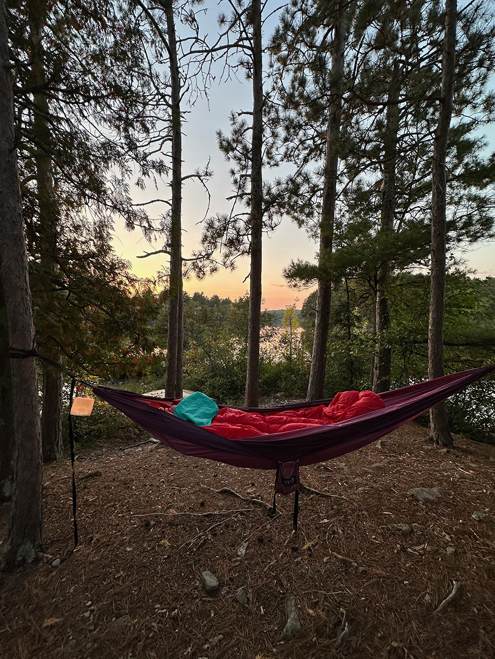 hammock.png