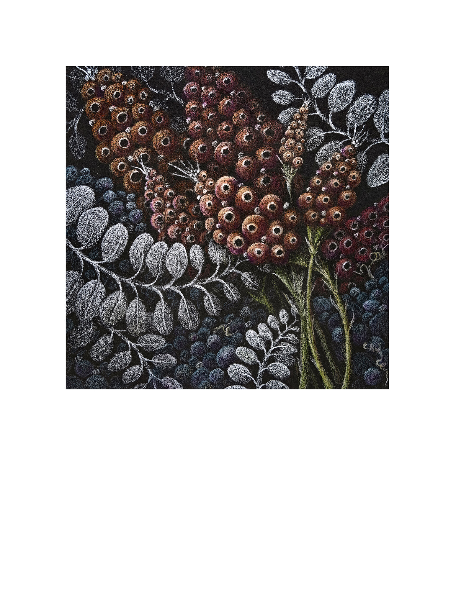 Print_botanical2.jpg