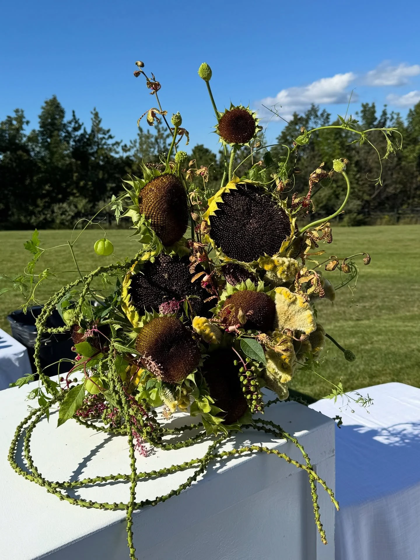 Petal less sunflowers have been on trend this season, but truth is, I think they are such a timeless flower. They have always been synonymous with joy, brightness, and warmth. We loved celebrating the petal less sunflower in Ali and Gij&rsquo;s rehea