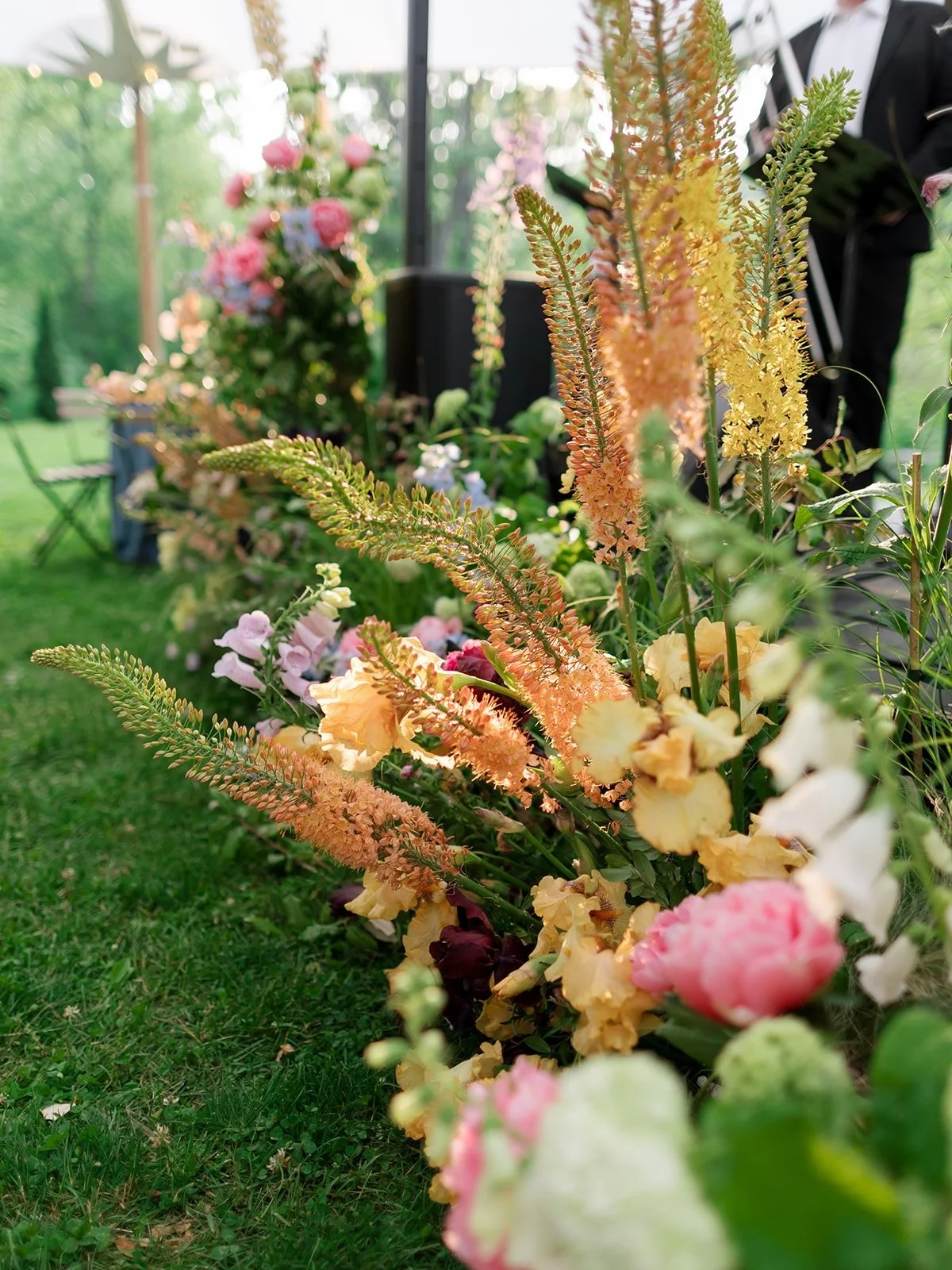 I spent my afternoon chatting with others at @hyssop.studio garden club about all the blooms we were missing this winter. We chatted about both irises and foxtail lilies and how in the short window they&rsquo;re blooming, we just can&rsquo;t seem to 