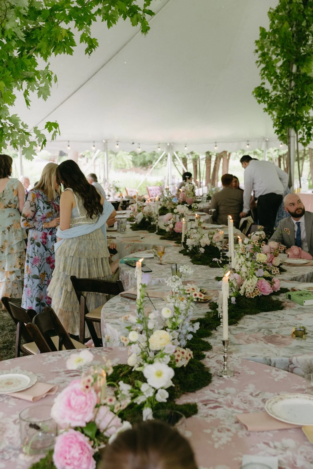 D&N-608_websize (1).jpg