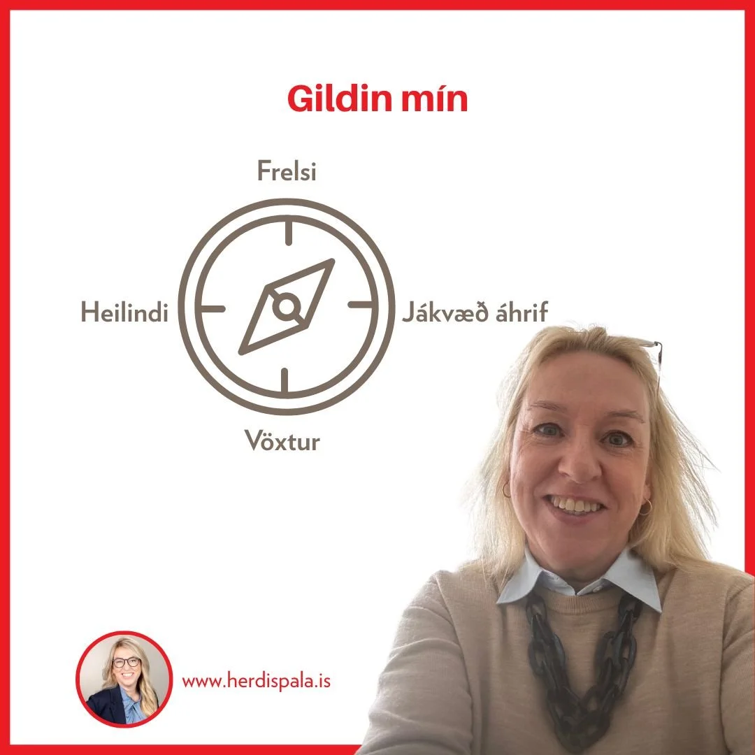Ein af grunnsto&eth;um sj&aacute;lfsforystu er a&eth; &thorn;ekkja gildin s&iacute;n. Hefur &thorn;&uacute; sett ni&eth;ur fyrir &thorn;ig hver &thorn;&iacute;n gildi eru og notar &thorn;&uacute; &thorn;au til &aacute;kvar&eth;anat&ouml;ku og til a&e