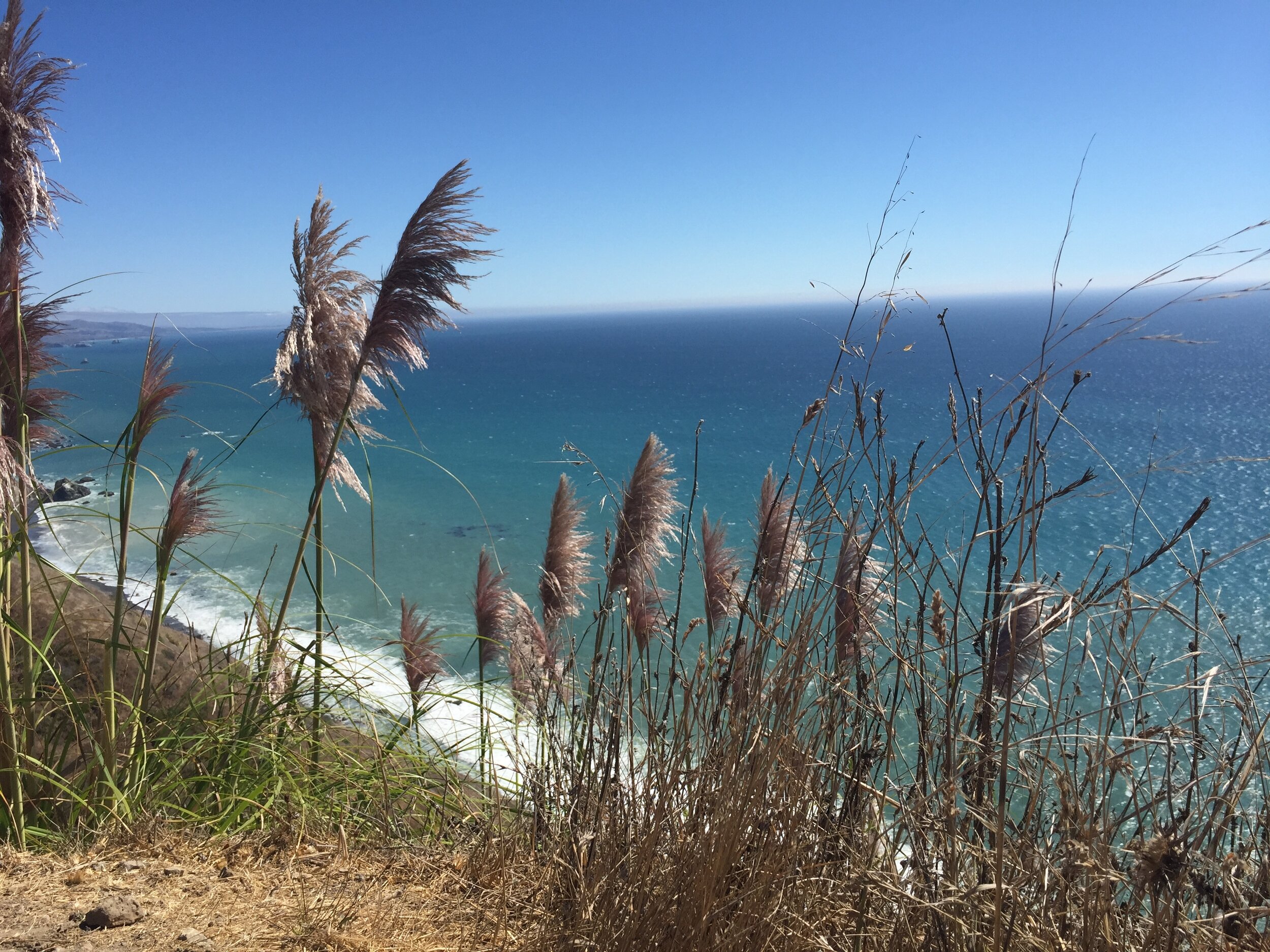Overlooking the California coast. In 2016 I moved from Florida to California and began my inner process work of letting go and shifting from the religious and spiritual groups (and beliefs) I was once part of to rediscover my true sense of self outs…