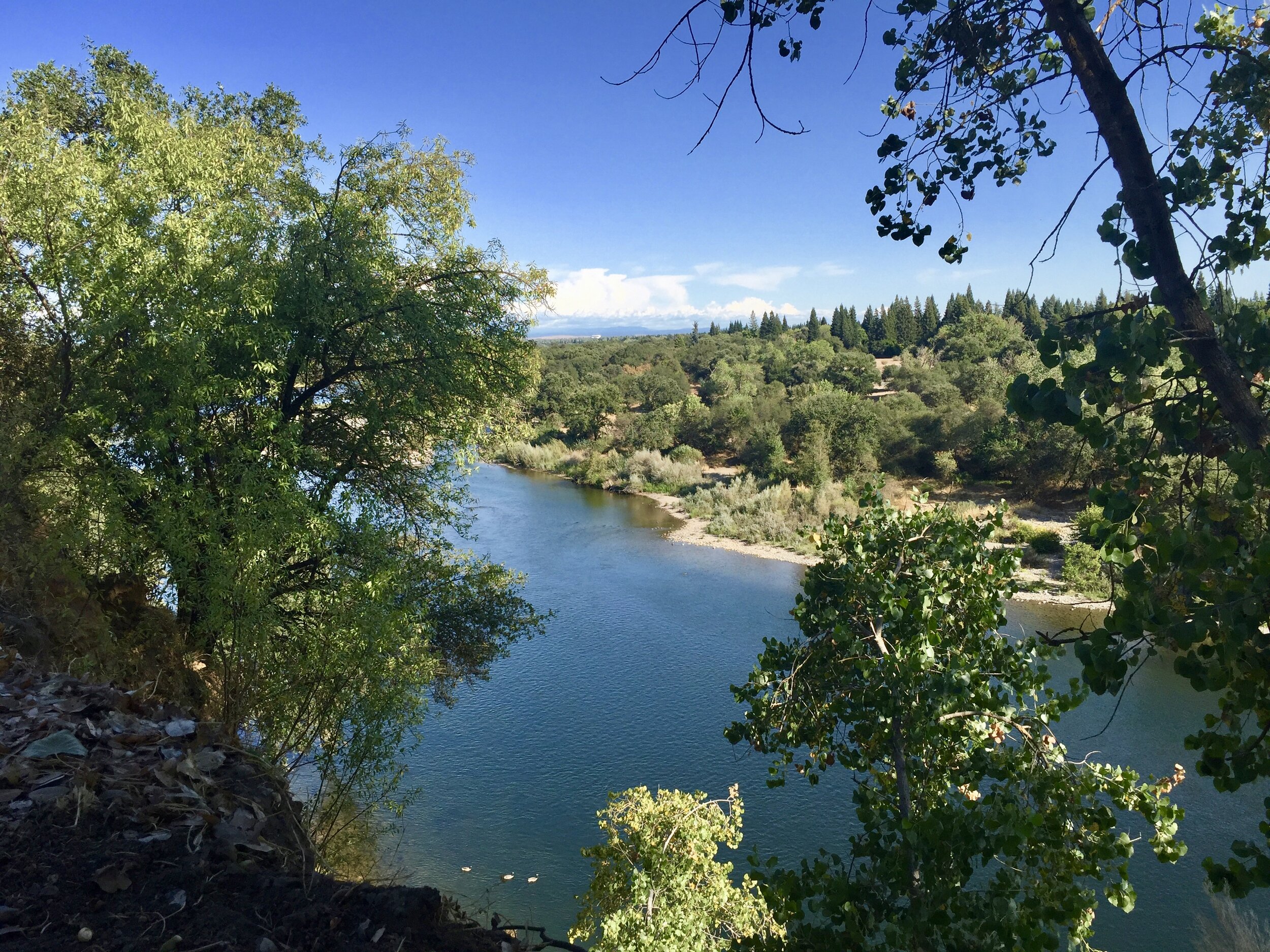 The beautiful American River in California.