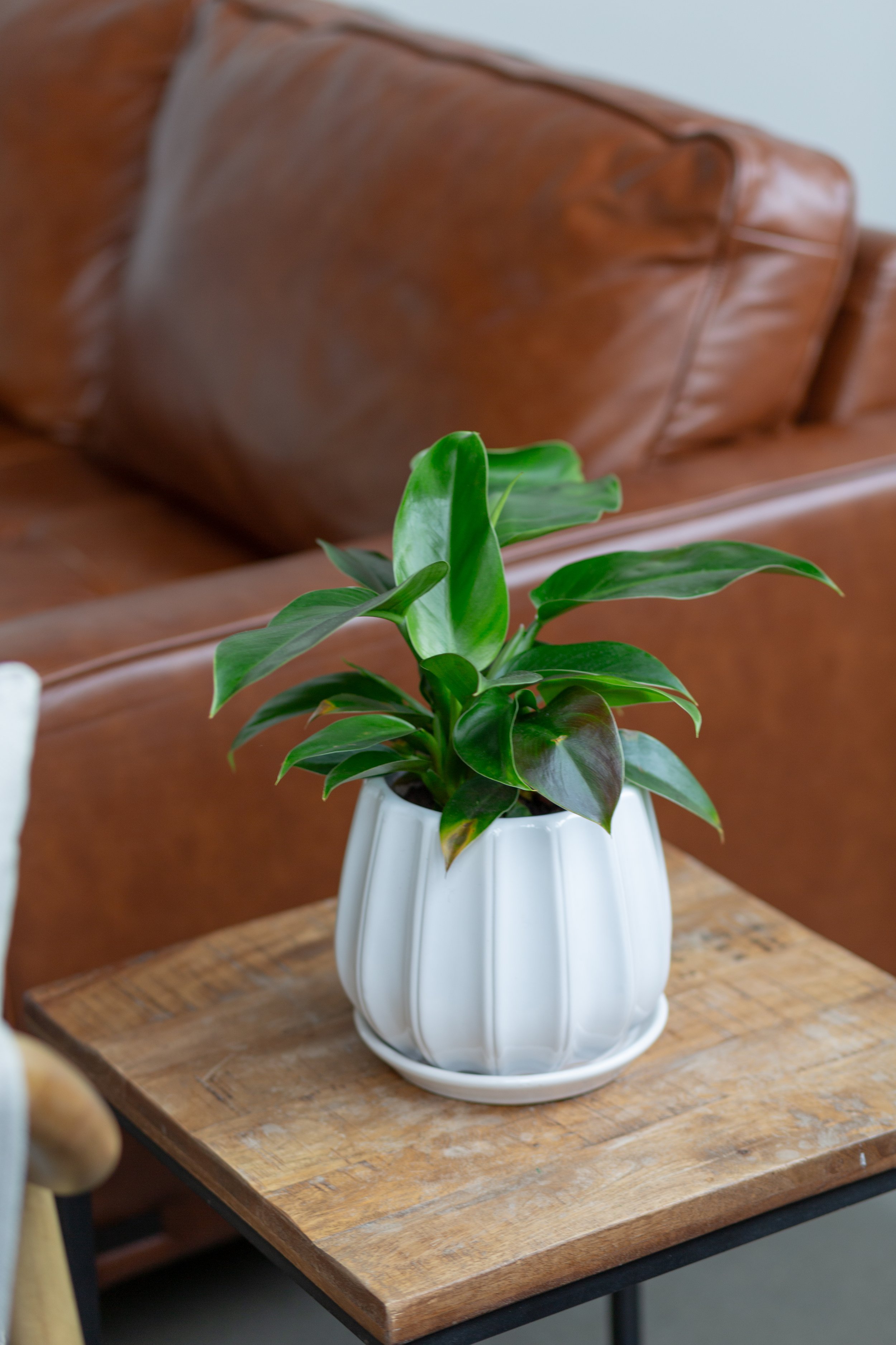 2025 Studio Refresh-4.jpg