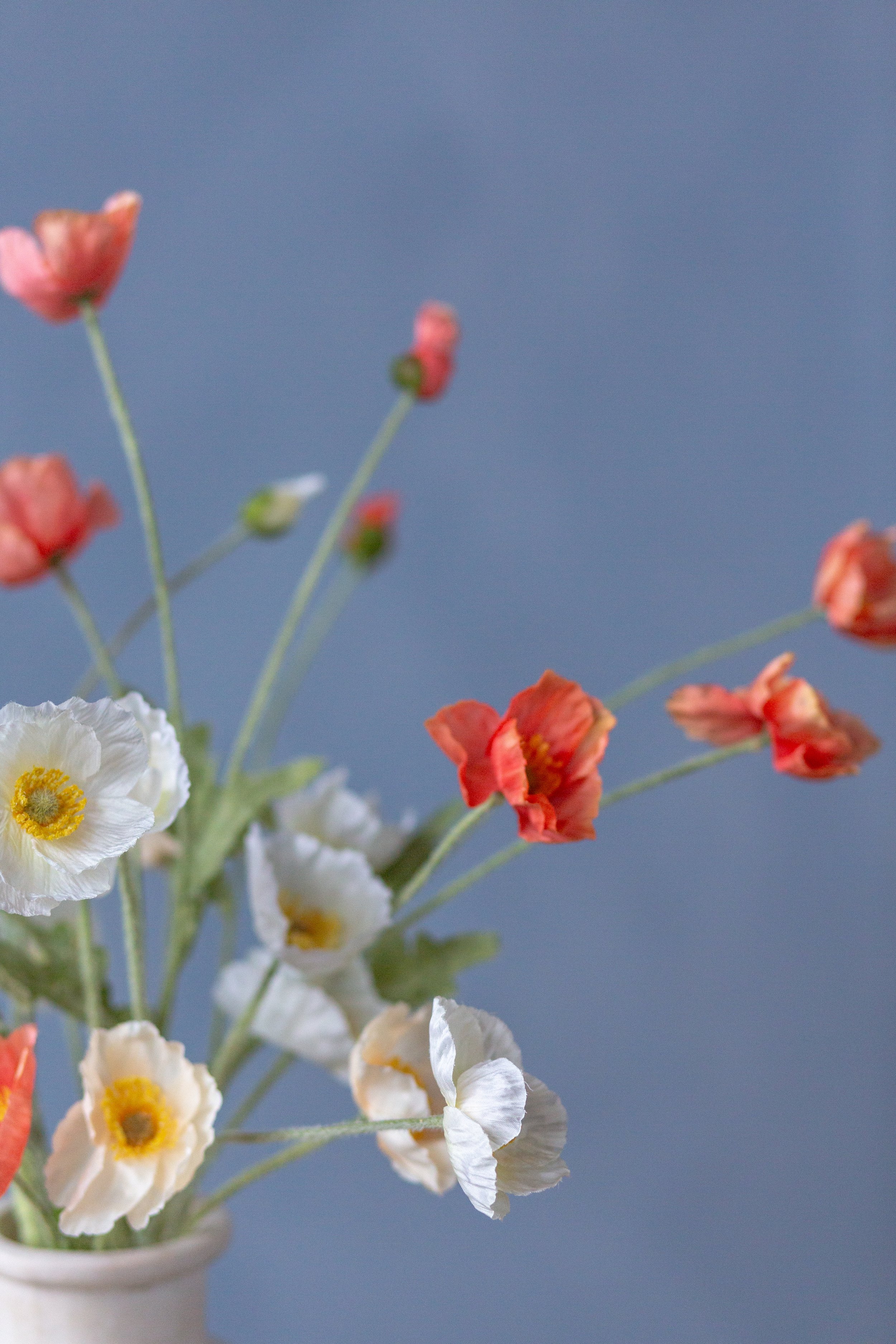 2026 Spring Props-8.jpg