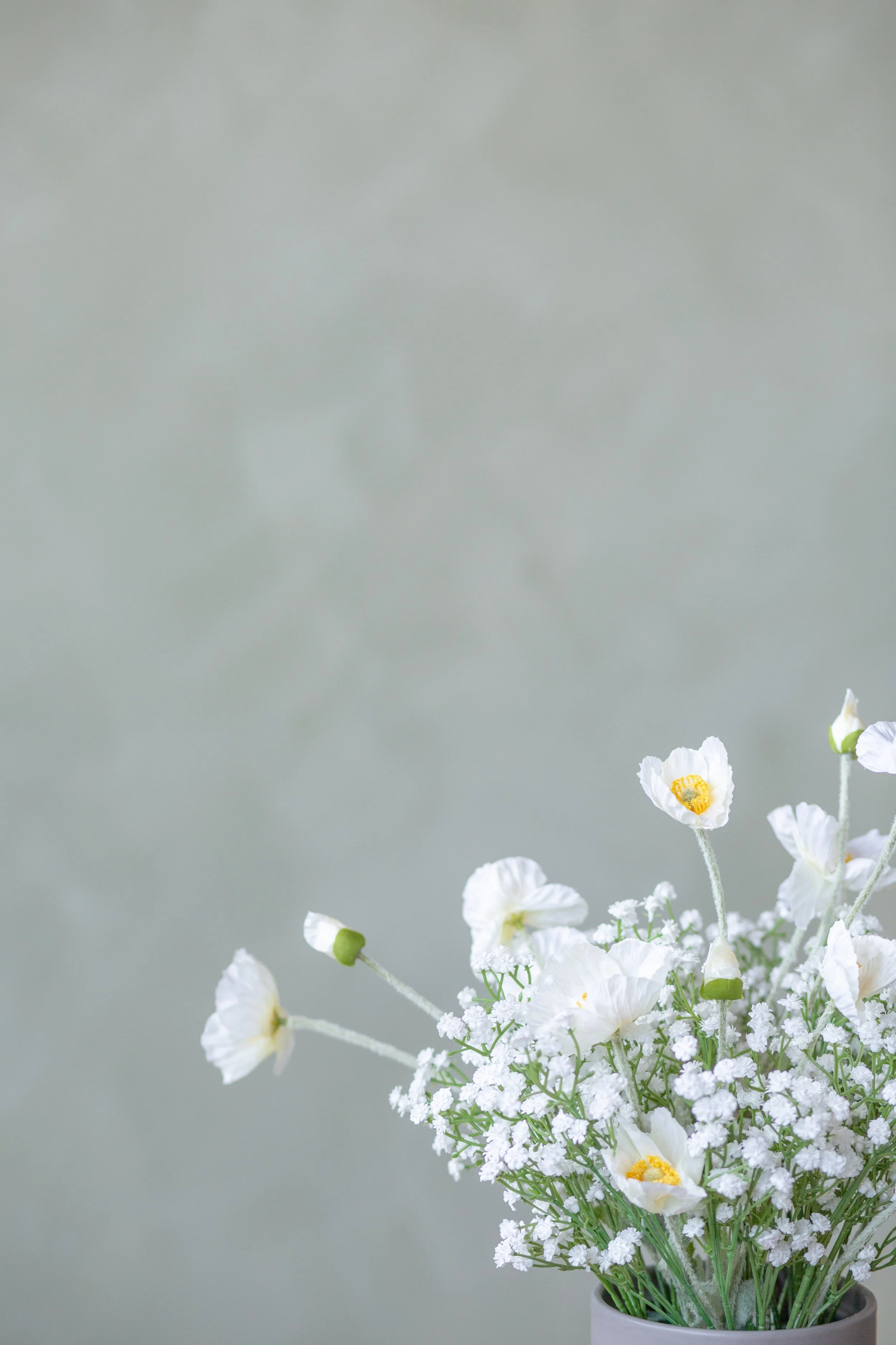 2025 Spring Minis-6.JPG