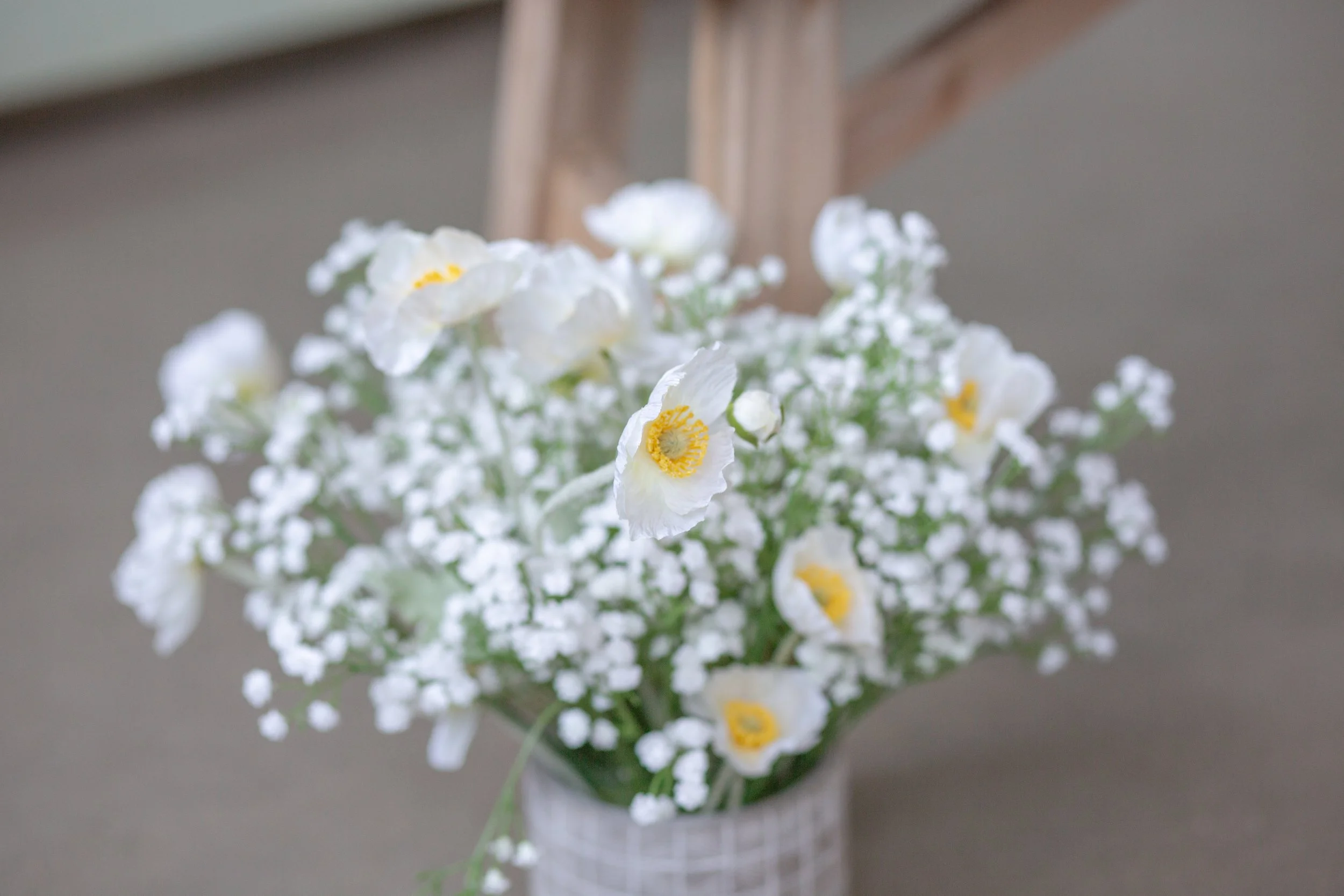 2025 Spring Minis-5.JPG