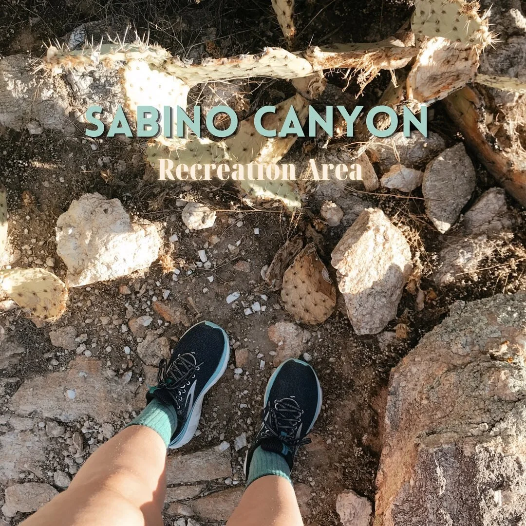 SABINO CANYON RECREATION AREA
———
Oh man, if I had the time I’d love to explore this natural area for days. So many great trails nestled right outside of Tucson. We kept it short (long day of driving ahead!) but there’s
