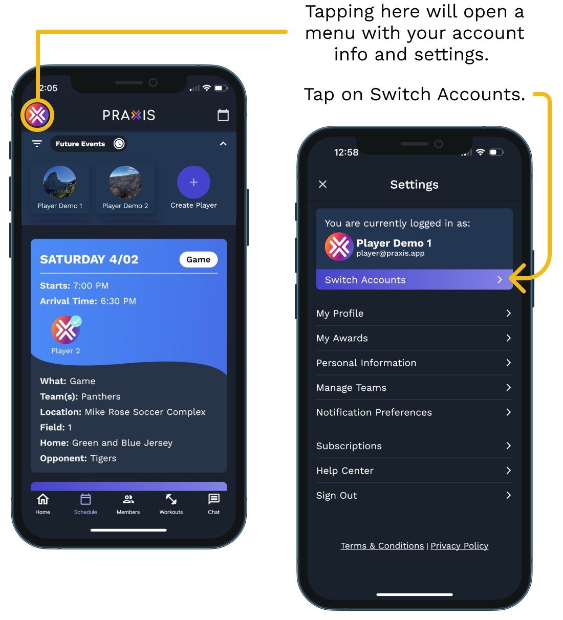 How to switch accounts — Praxis Training