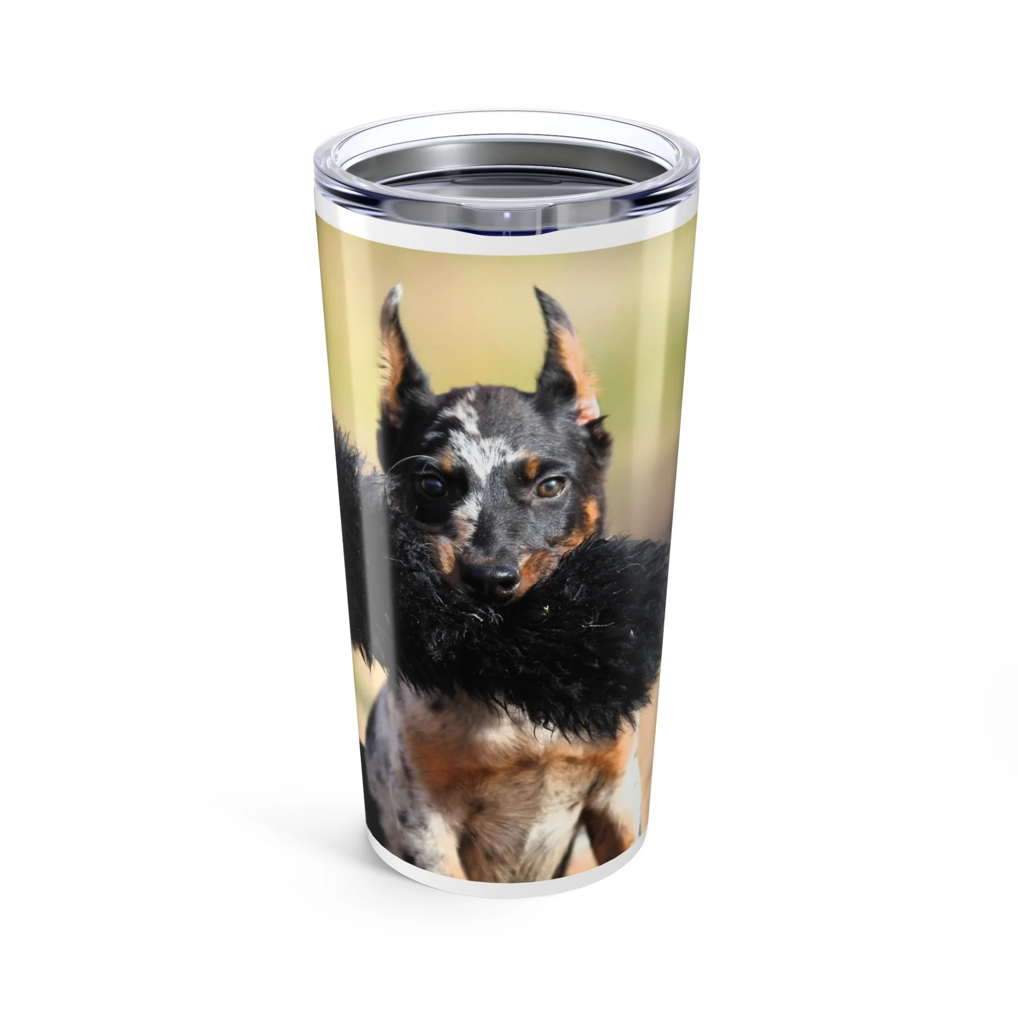 1473b5b46f7f95d61f444a86f01d8bdd