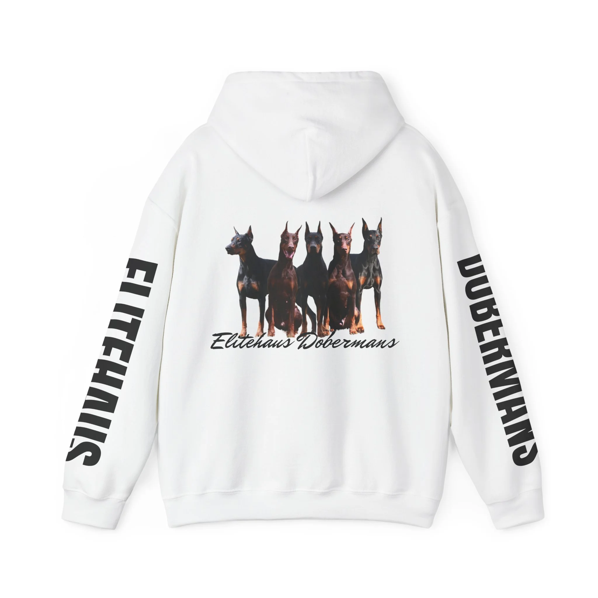 22e743f787265d381fc6096f80bf1a20