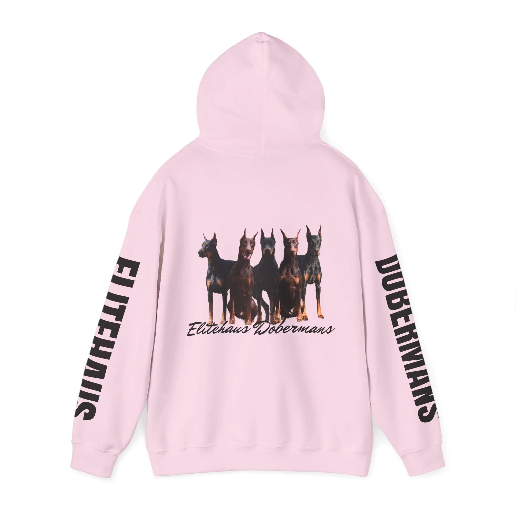 69a15244ebbdcbbbf38f5ca764c01660