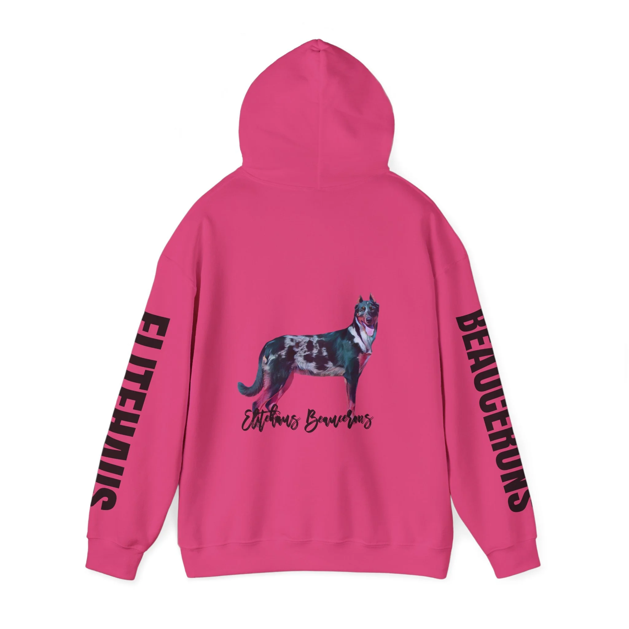 76ff89b6b4a4776fe1d7ed7fa96f6f0b