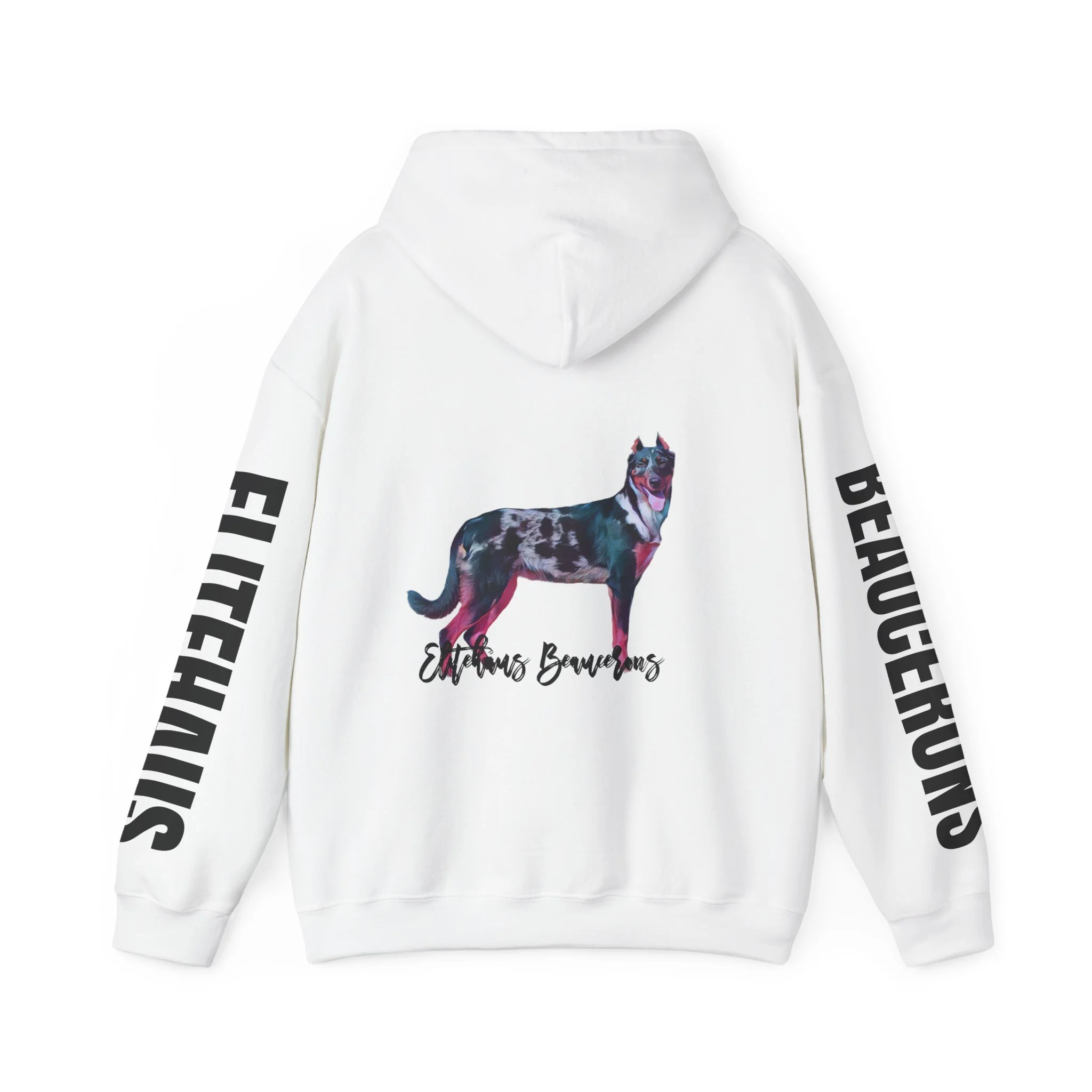 9a231bc80312b7ddd337e4496ca520fb