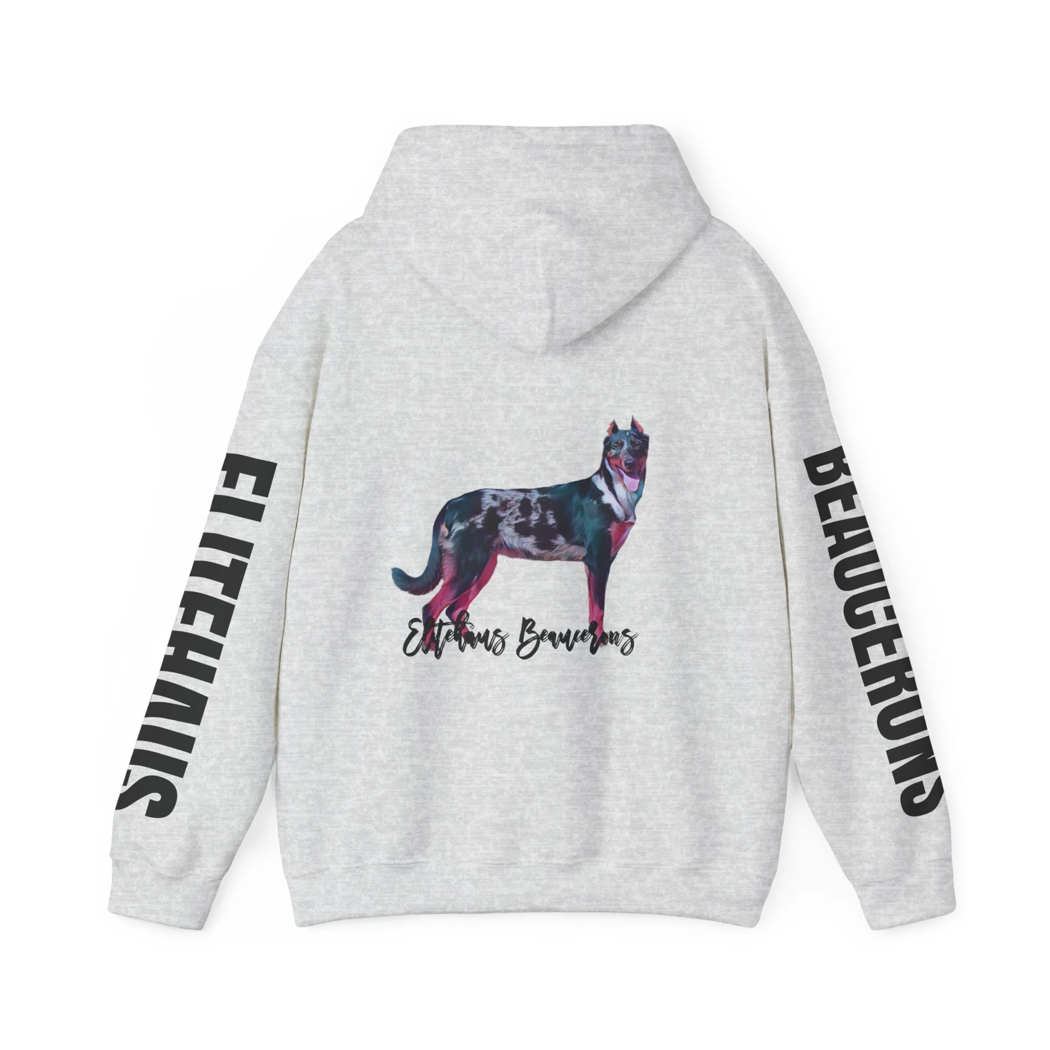 4ccaefa65bf48d1a3c22dc223804731e