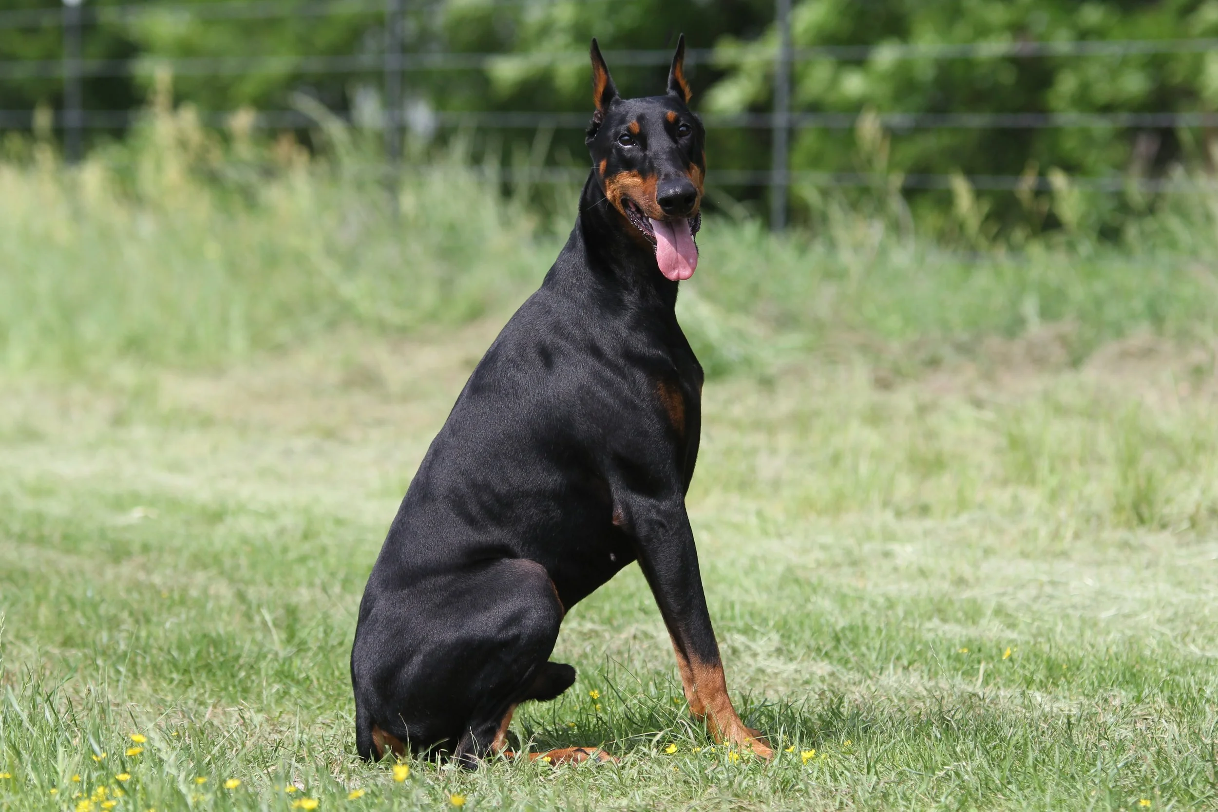 axel11.JPG