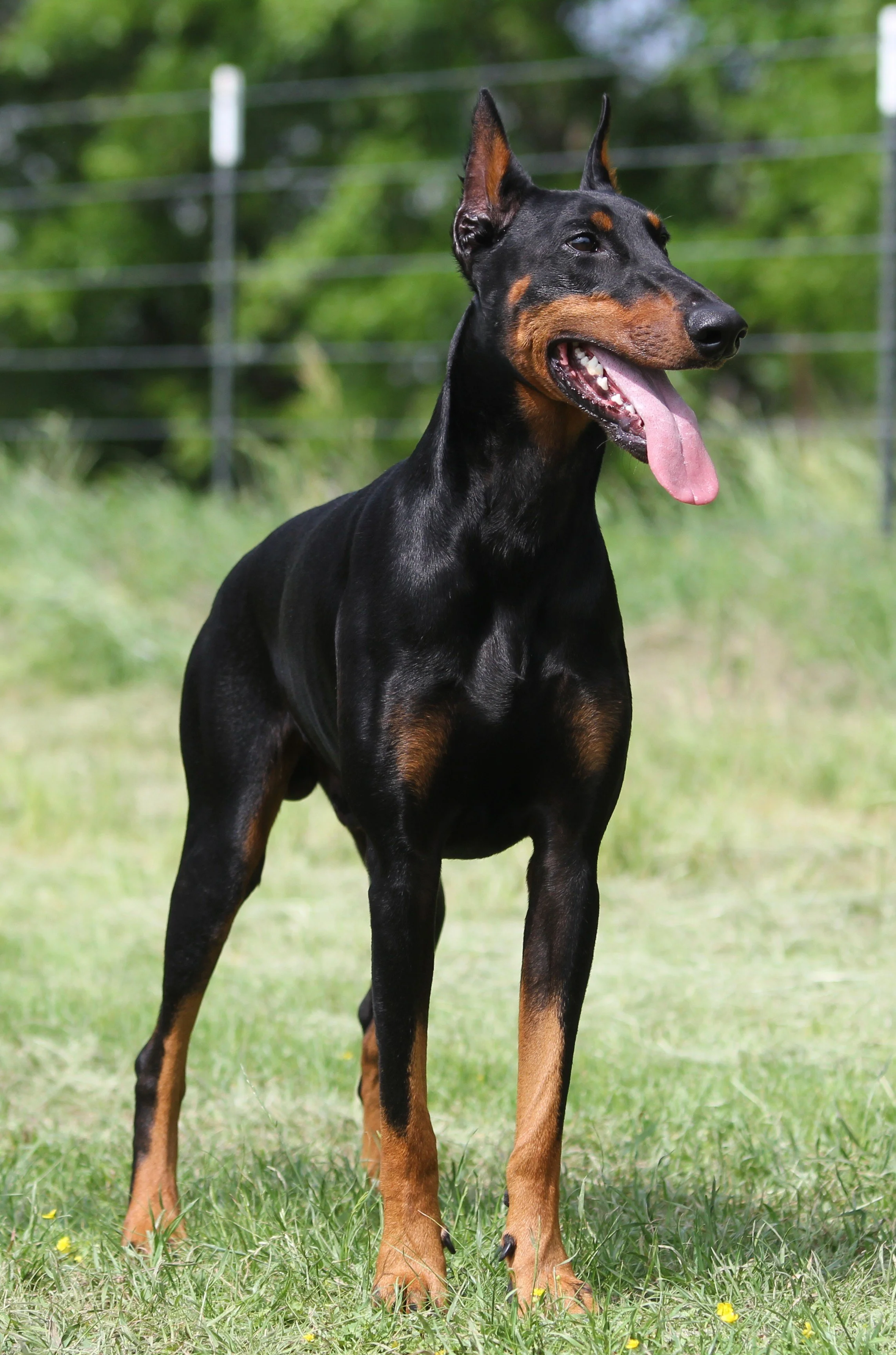 axel10.JPG