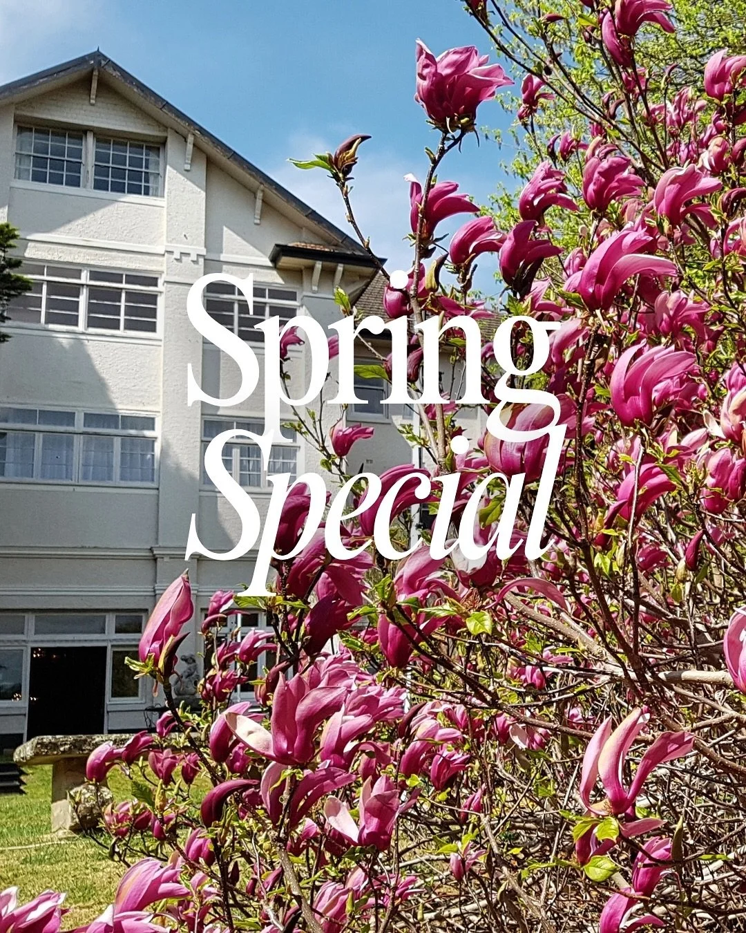 Treat yourself to a mid-week mini break now
the sun is shining again.

Book via the link in our bio 👉

#TheRobertsonHotel #TheRobertson #southernhighlandsaccommodation