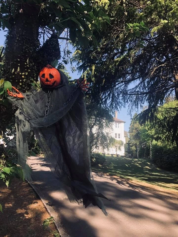 🎃 Trick or Treat Reminder 🎃

Don&rsquo;t forget to swing past between 4-6pm tomorrow night with the little ones 👻

#TheRobertsonHotel #TheRobertson #Halloween #robertsondiscovermore