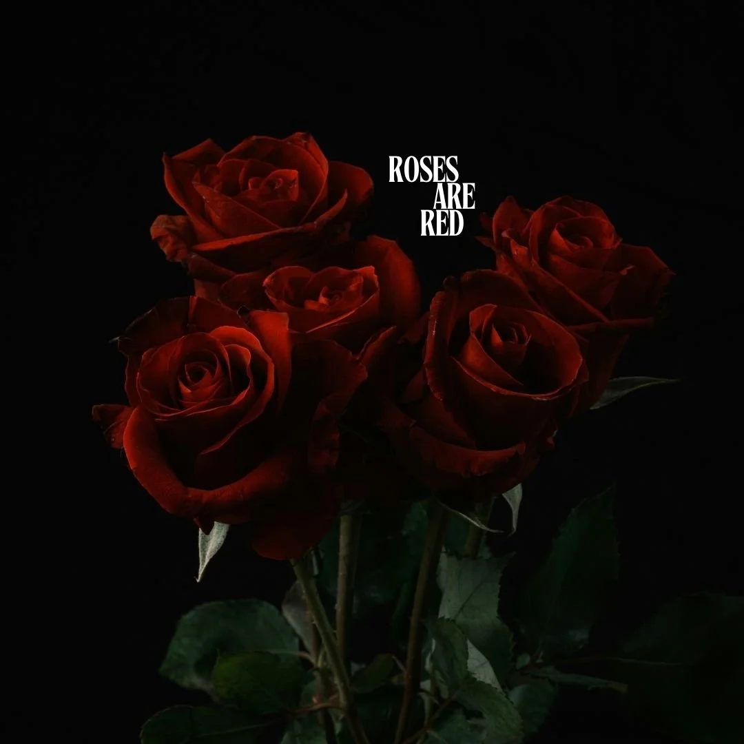 Send this to someone who needs a hint to make a booking 😉🌹

#ValentinesDay #TheRobertson #TheRobertsonHotel #SouthernHighlandsNSW