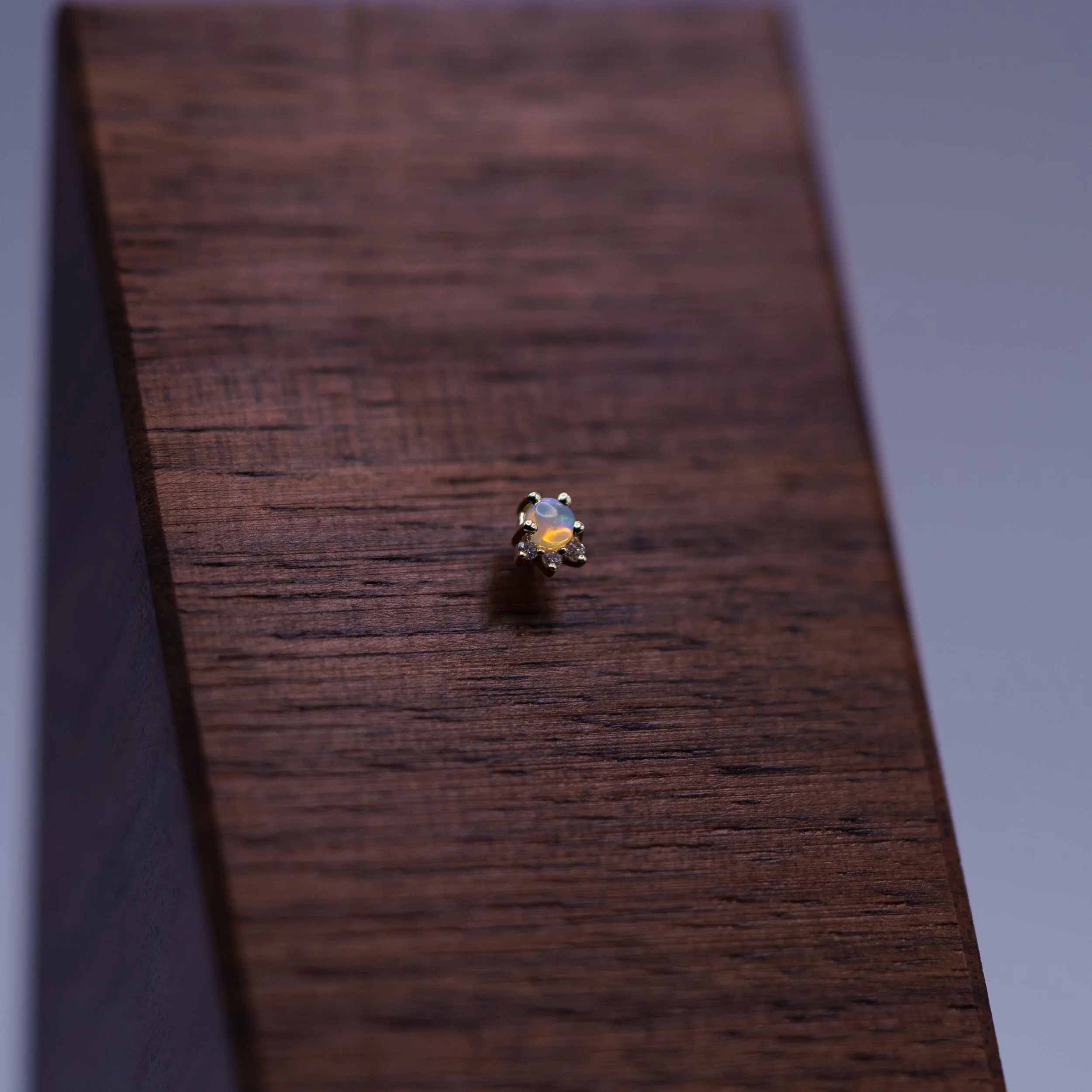 Dallas Piercing Services Dallas Jewelry Piercings — Eden Body Art Studios