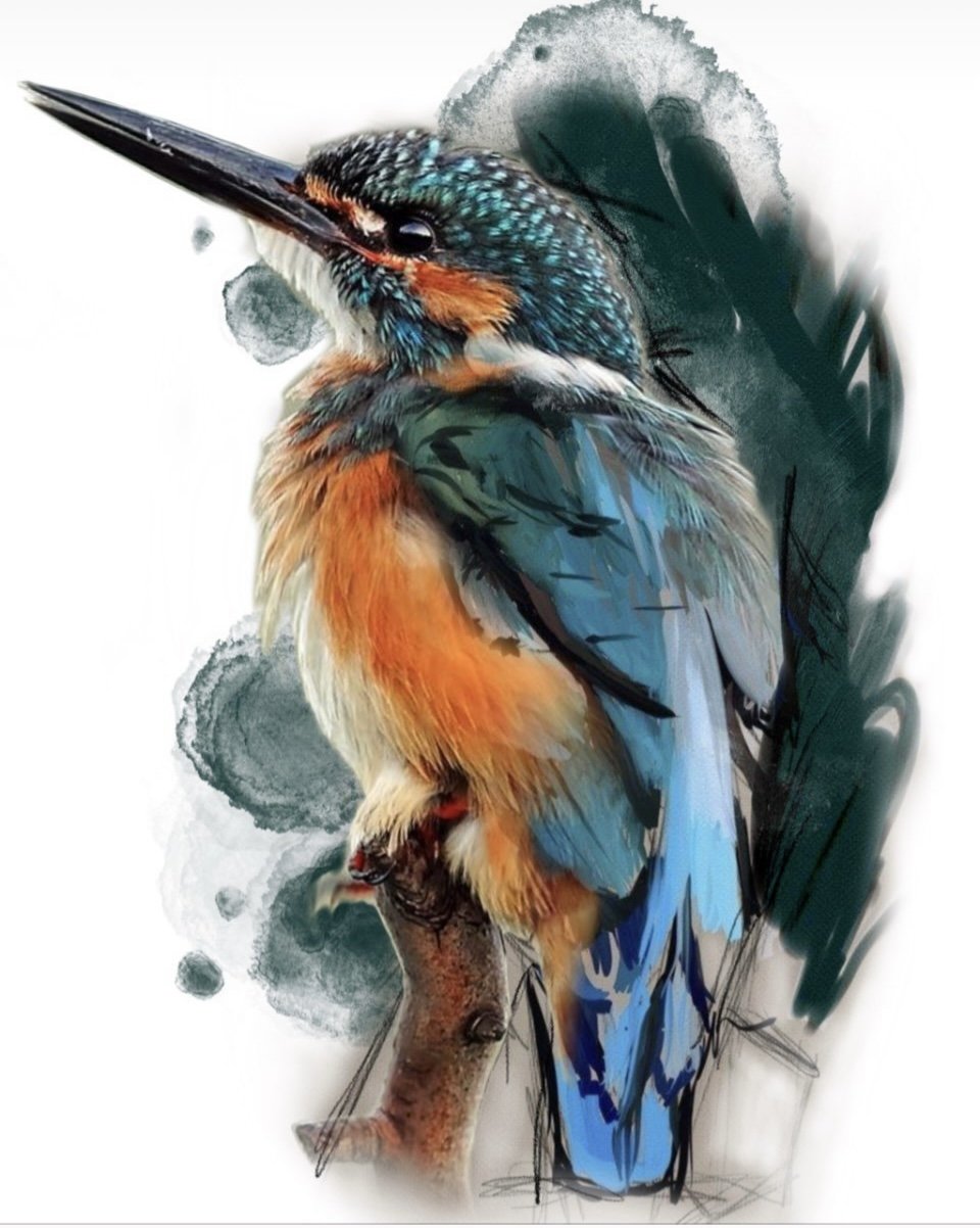 Aggregate more than 139 small kingfisher tattoo best