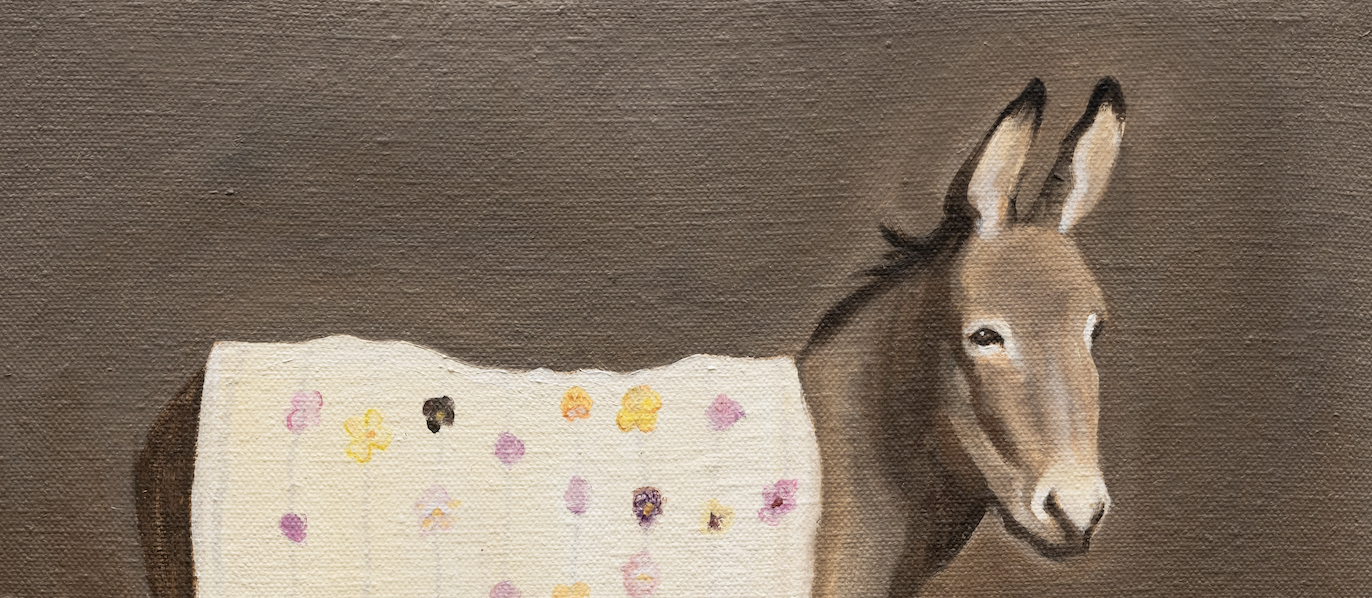 a short essay about a donkey