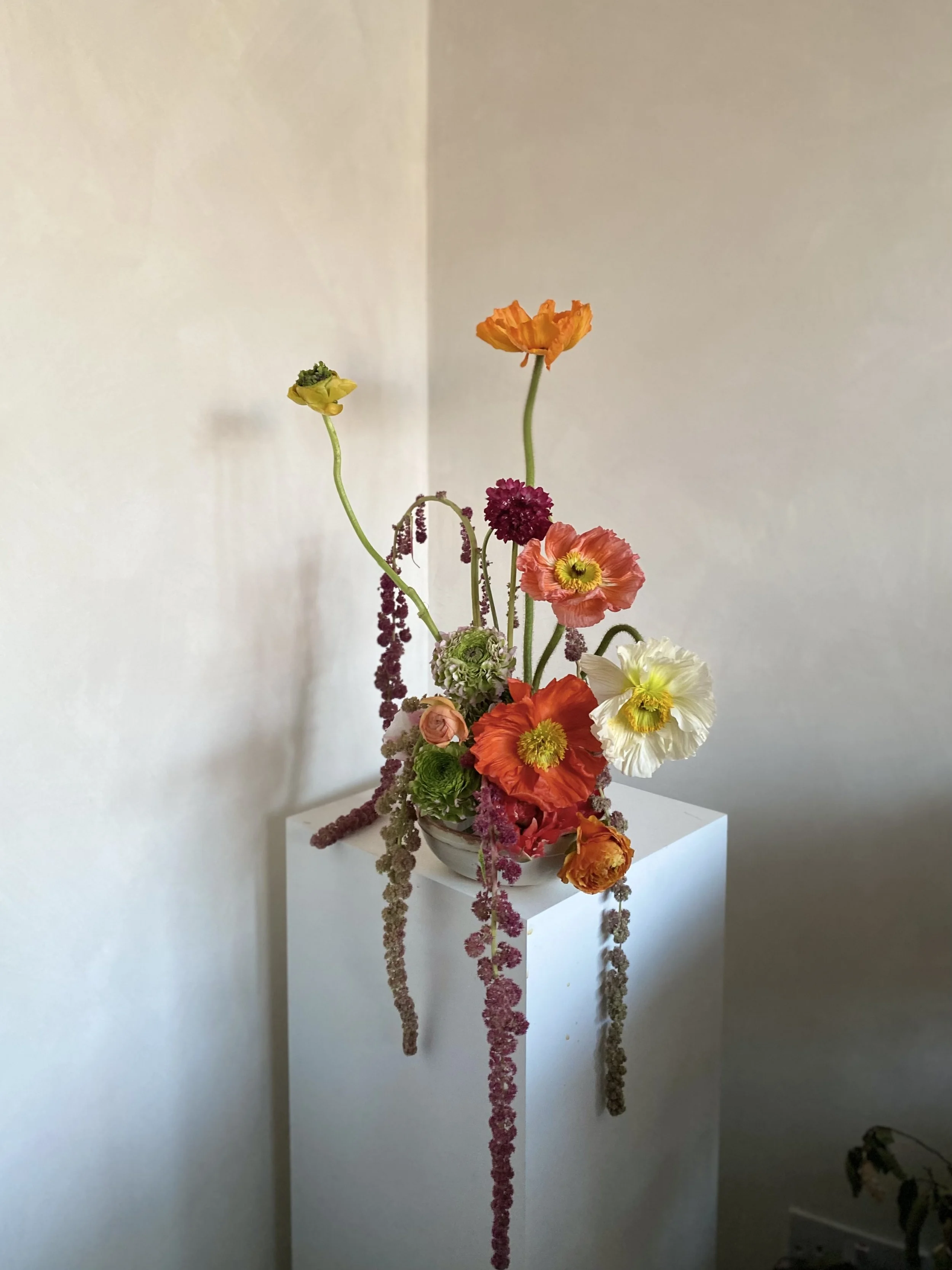 IMG_5926.jpeg