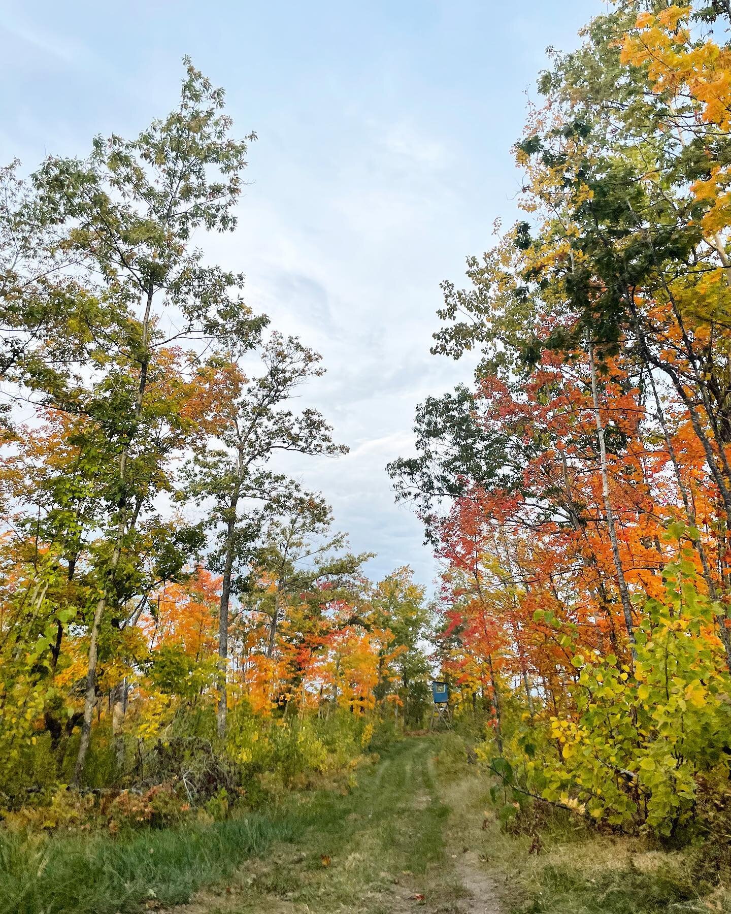 It is peek time to enjoy to fall colors! 🍂🍁We have our suites open this weekend. Come on up and enjoy the view. Call now to book your weekend getaway! 218-851-5692