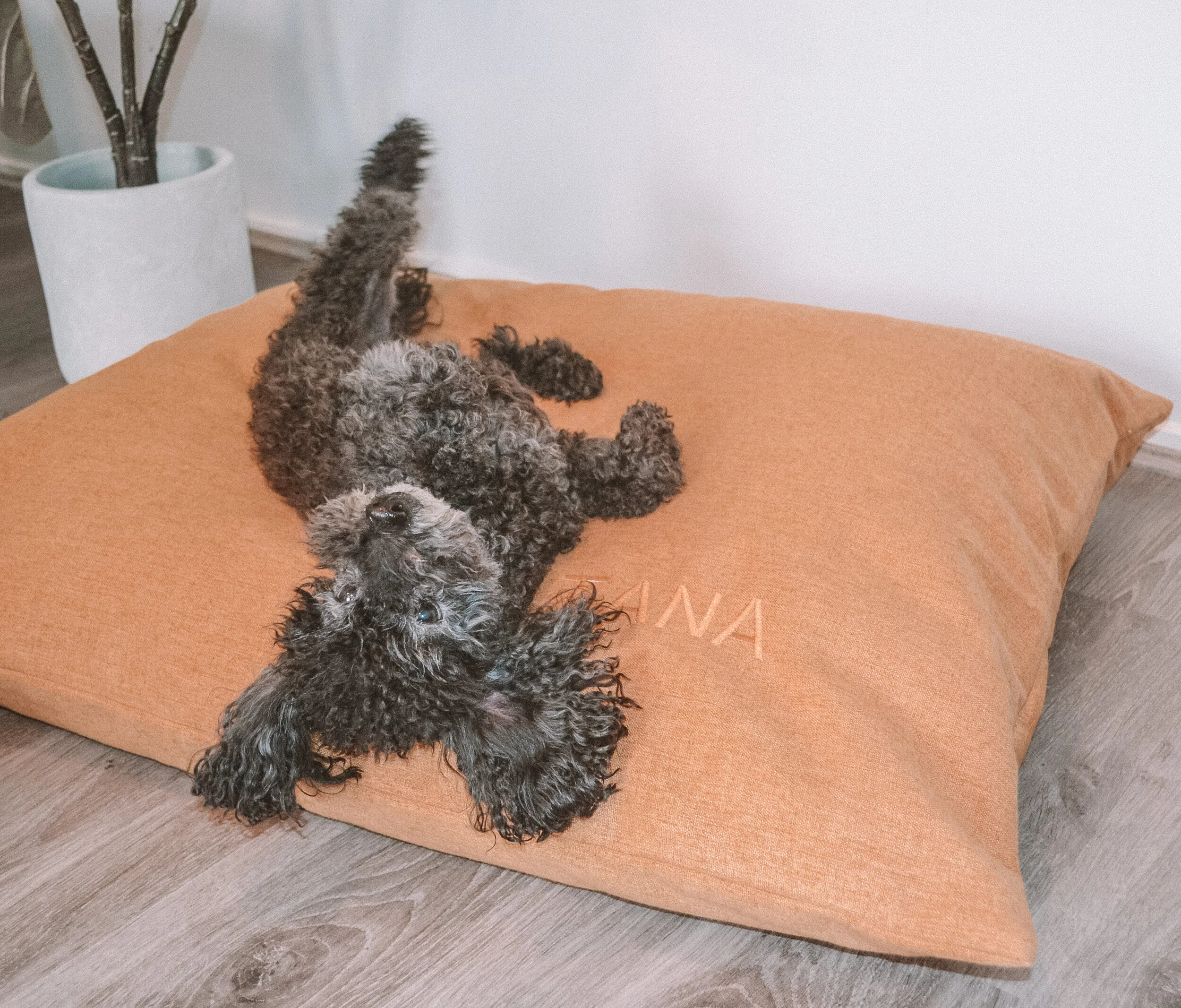 Pet Bed, Dog Bed, Personalised Dog Bed, Floor Pillow — Tribe of Asteria