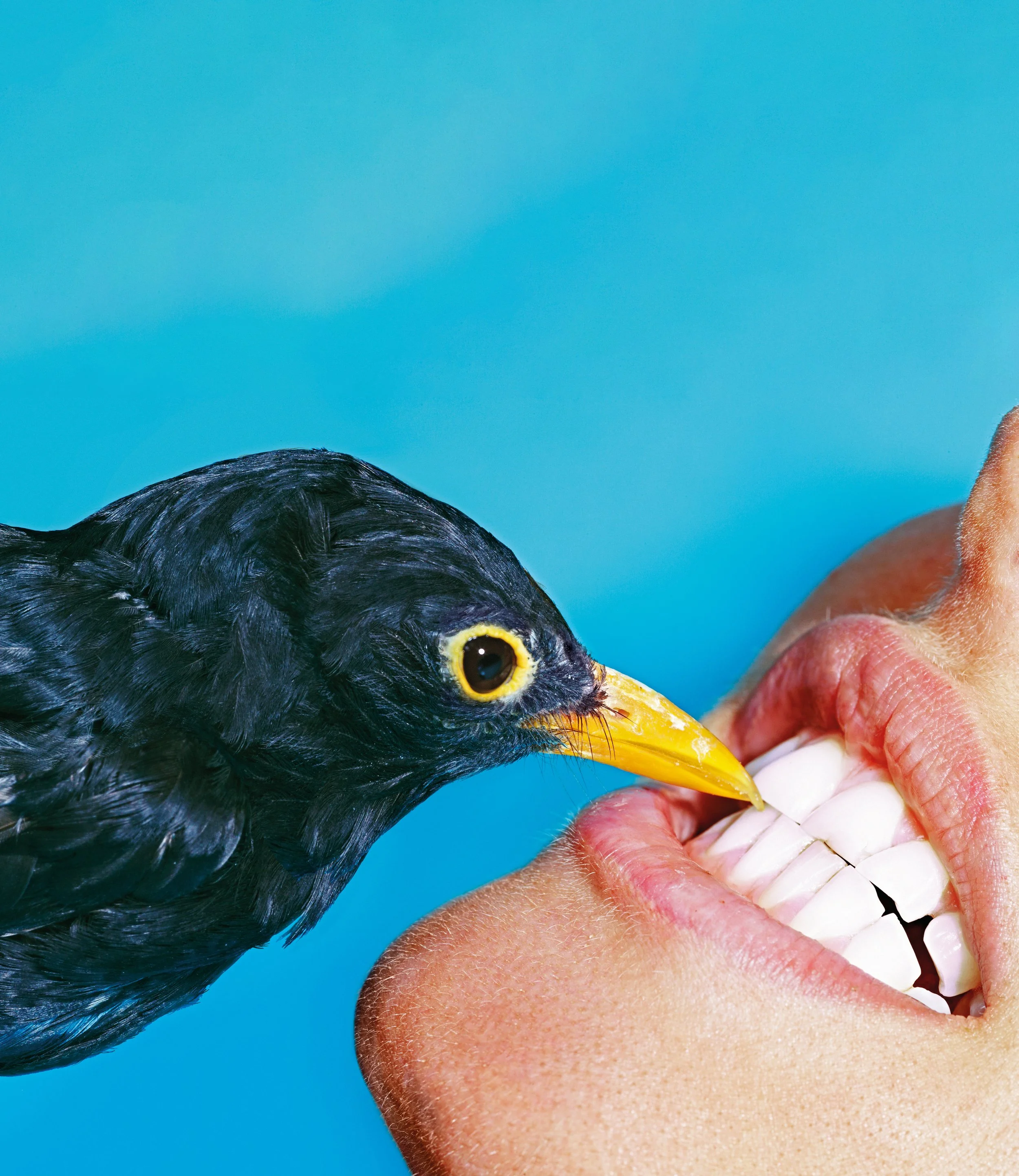 blue background toilet paper open submission image 2022.jpg