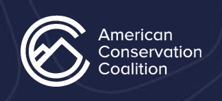 Screenshot 2024-08-03 at 11.42.06 AM.png