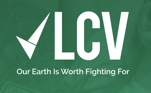 Screenshot 2024-08-03 at 11.36.12 AM.png