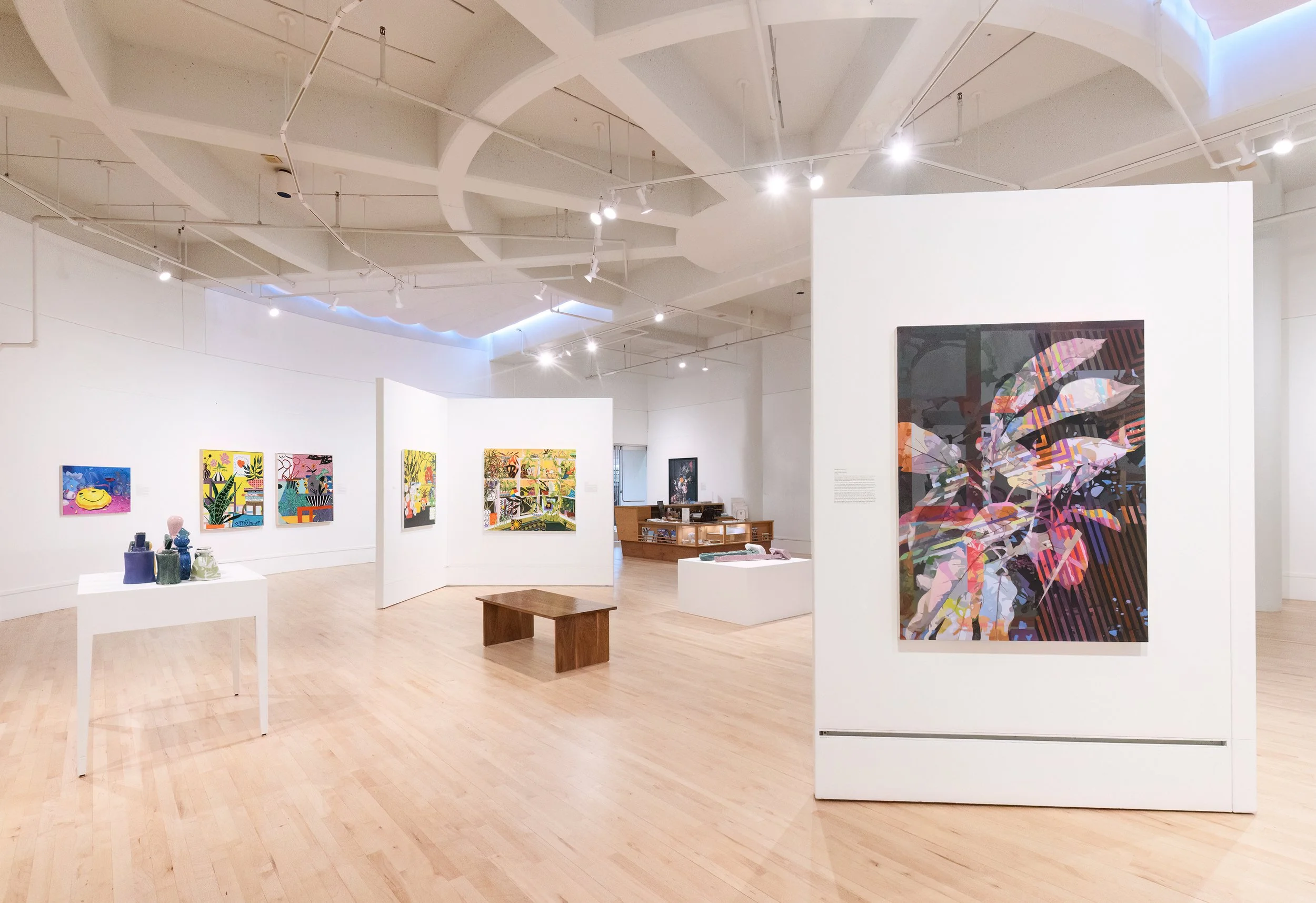 Bedford Gallery, installation view, Moon Mountain No.9