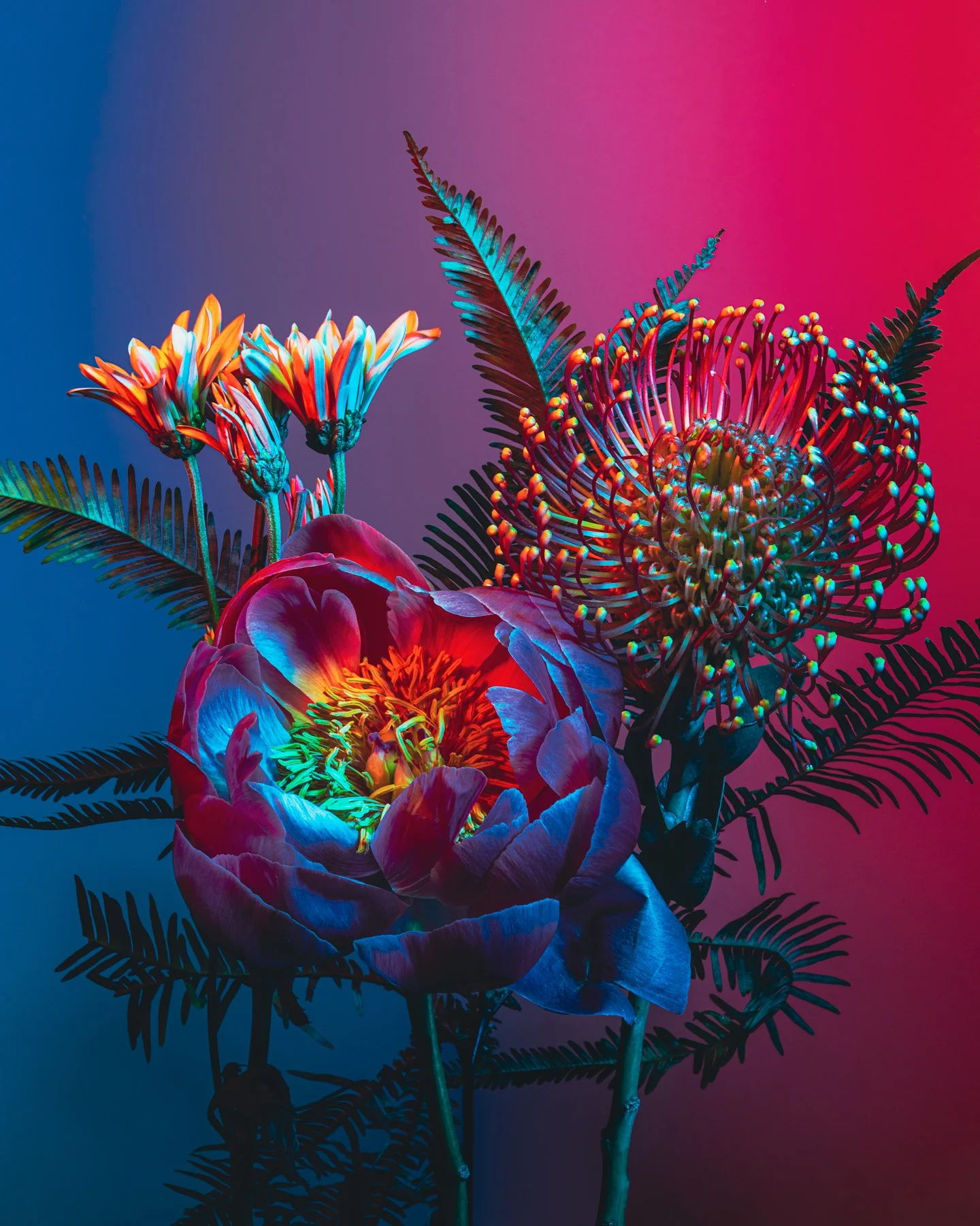 Lindsey Ricket Lindsey Rickert Photography — Otherworldly Botanicals