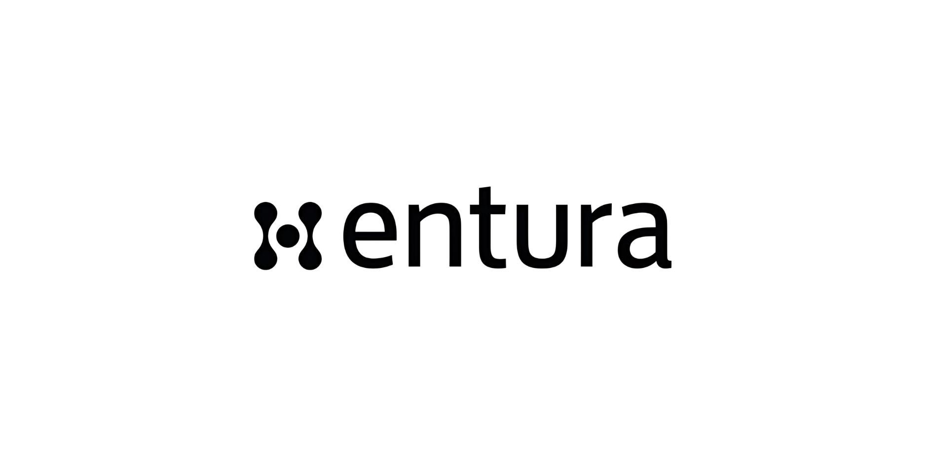 Entura 2.png