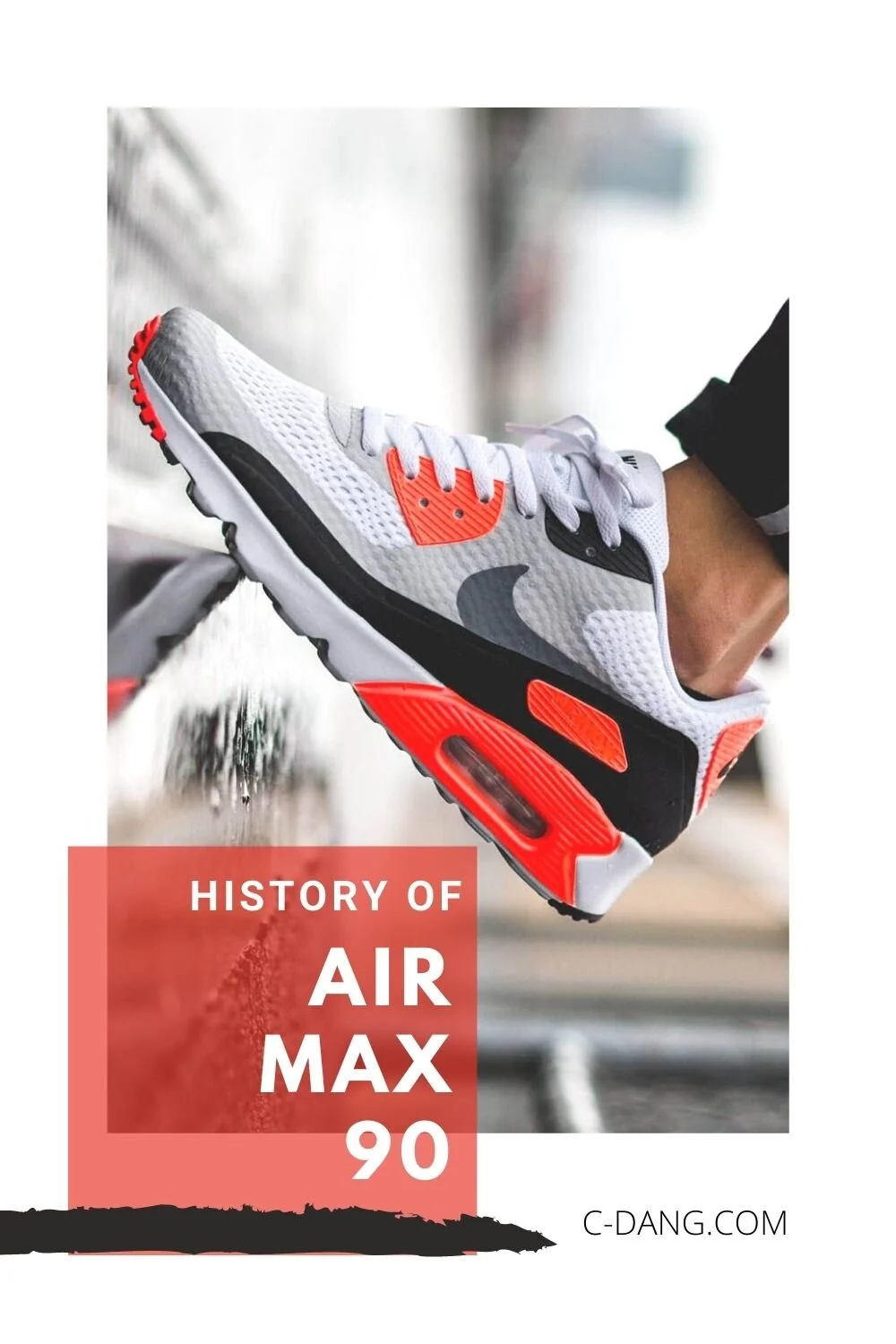 History of Nikes Air Max 90 — CDANG