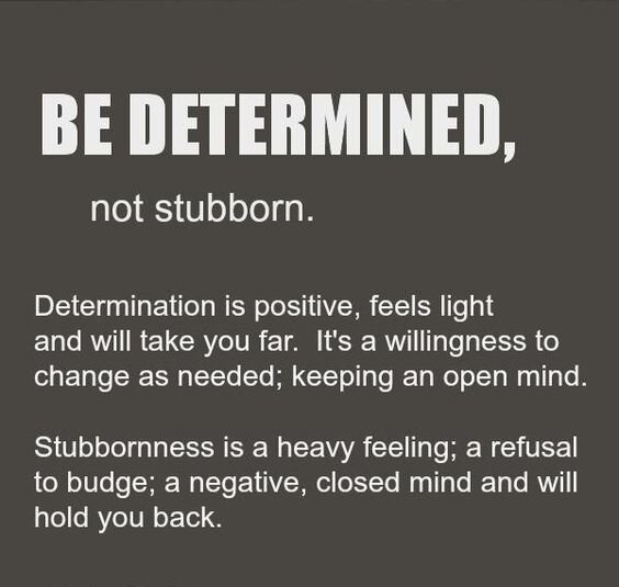 Determination-Quotes.jpeg