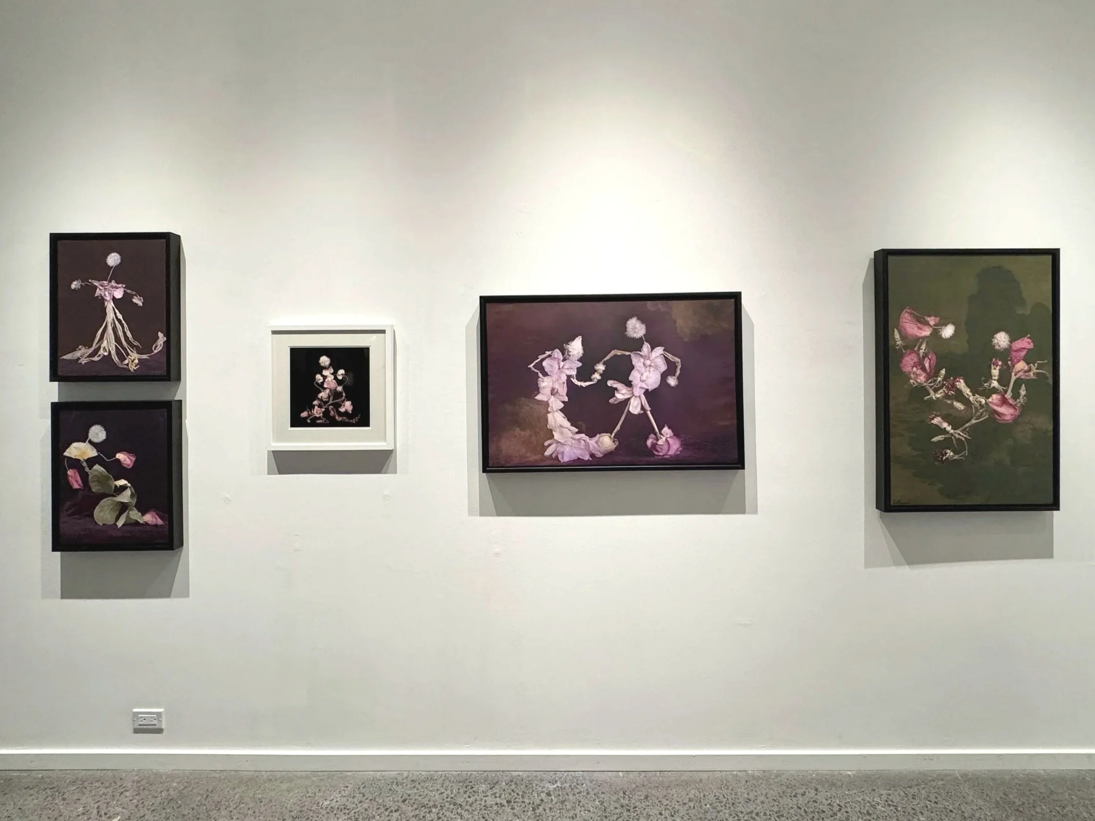 Installation view, Material Futures, School of Photographic Arts Ottawa (2024).