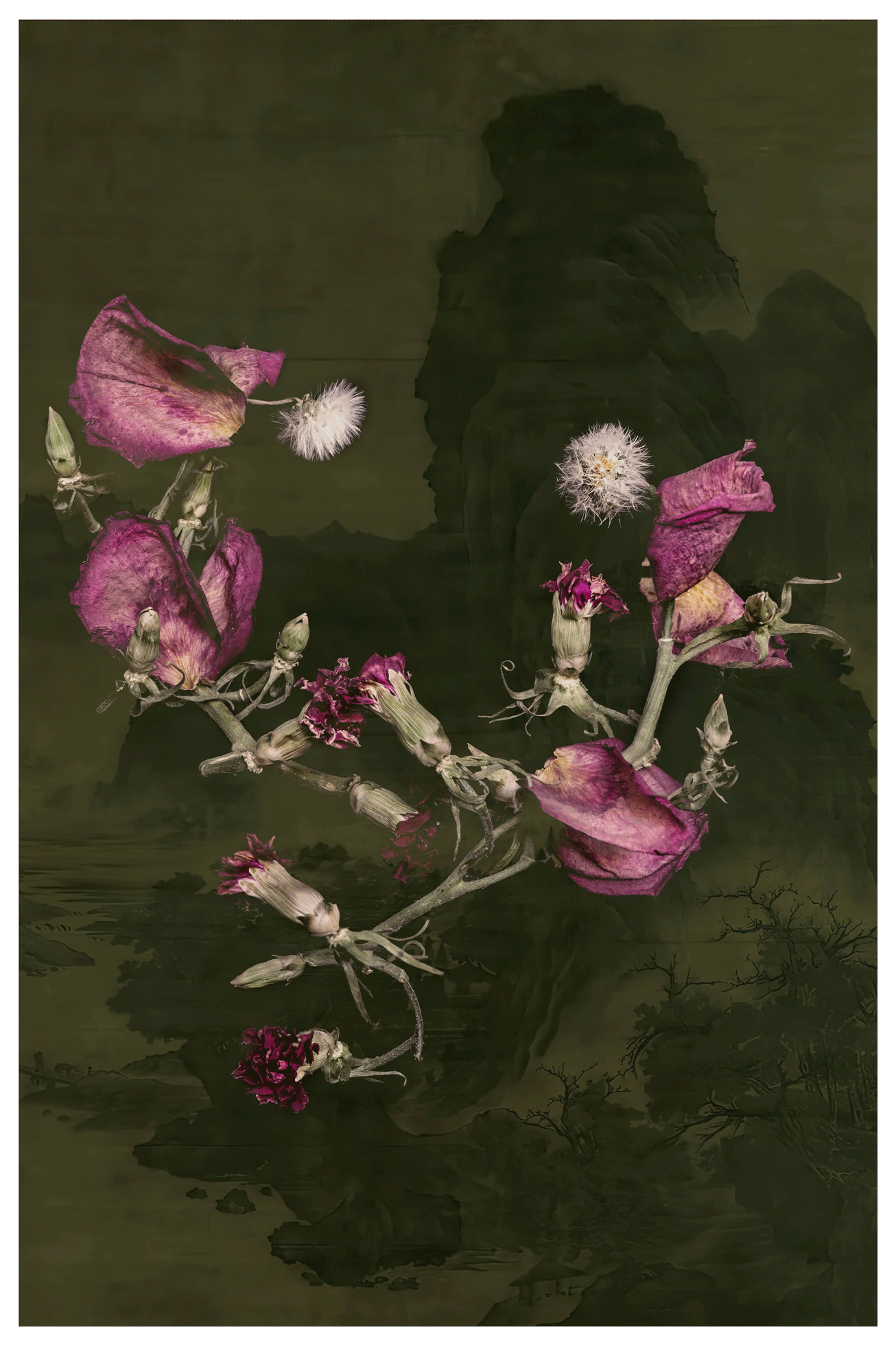 elseworld 1, 2023 — inkjet print on cotton rag (Epson Hot Press Natural), 20 × 30 in, unframed, ed. 3